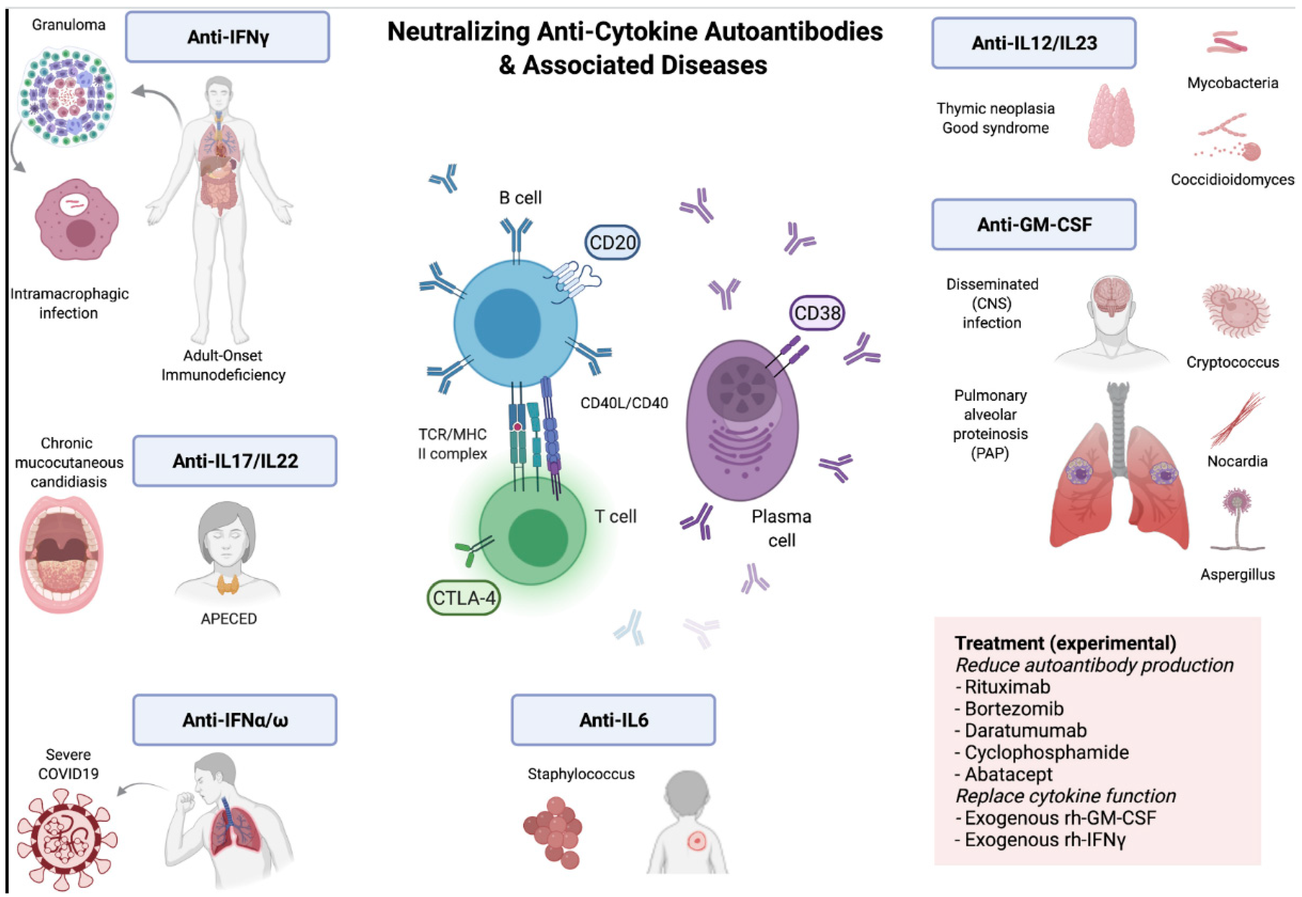 Jof 09 00782 g001 Jof 09 00782 g001