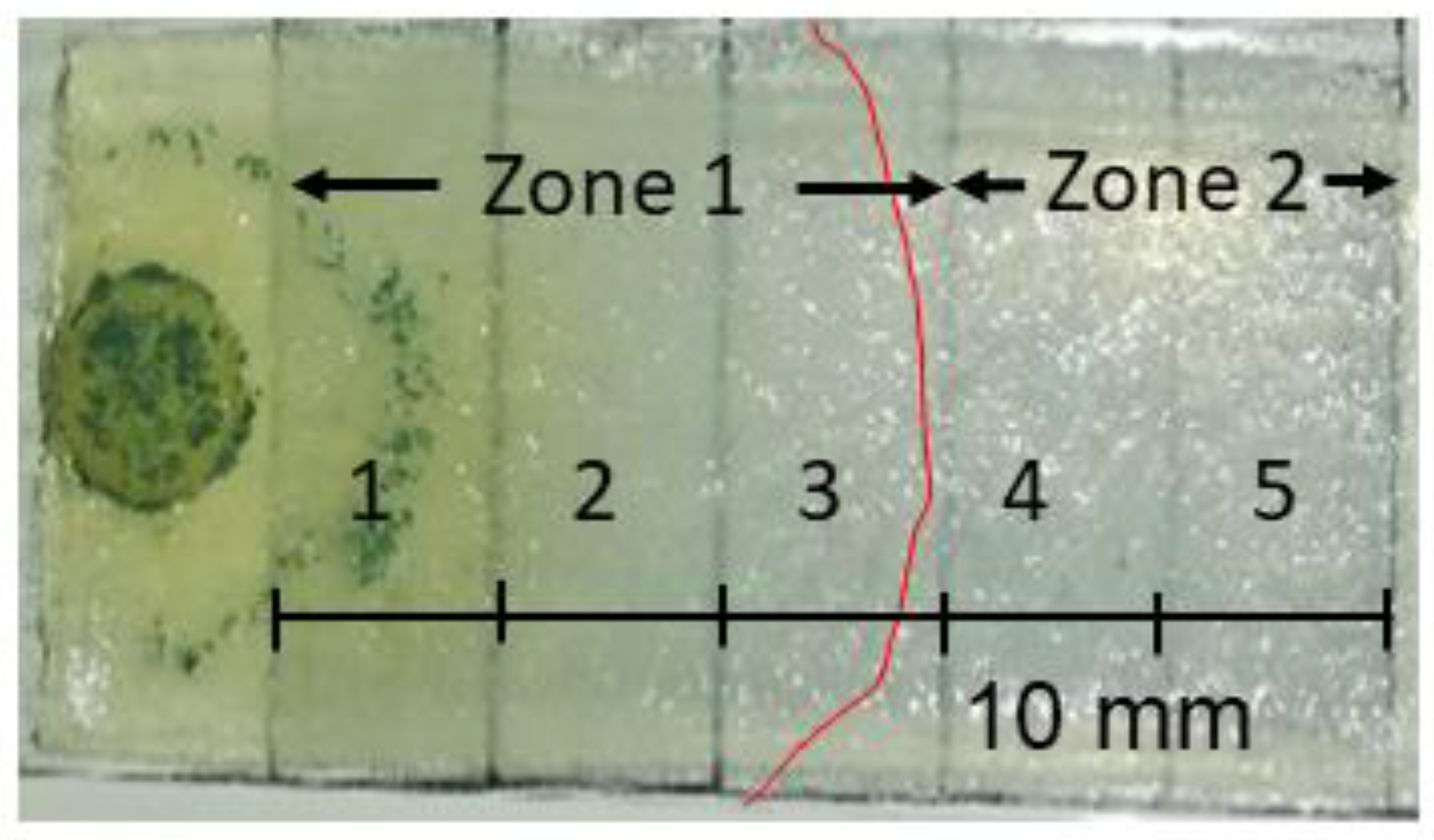 Jof 09 00785 g005 Jof 09 00785 g005