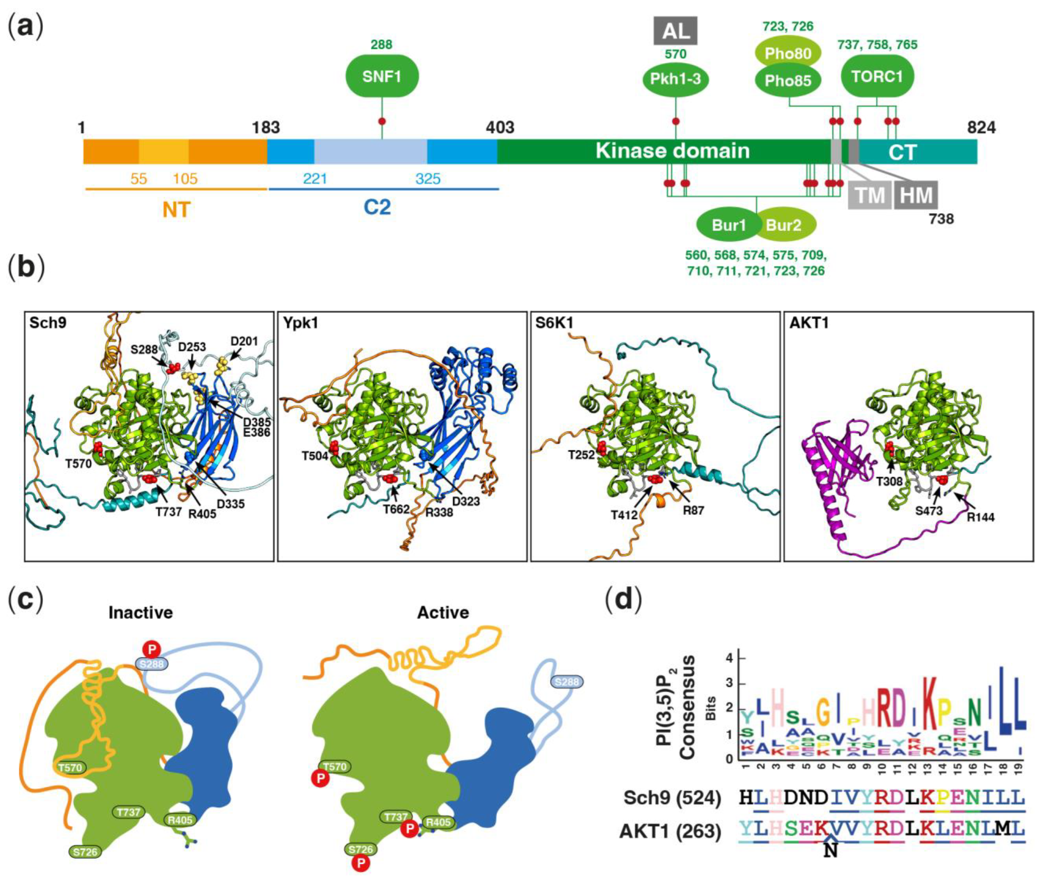 Jof 09 00787 g001 Jof 09 00787 g001