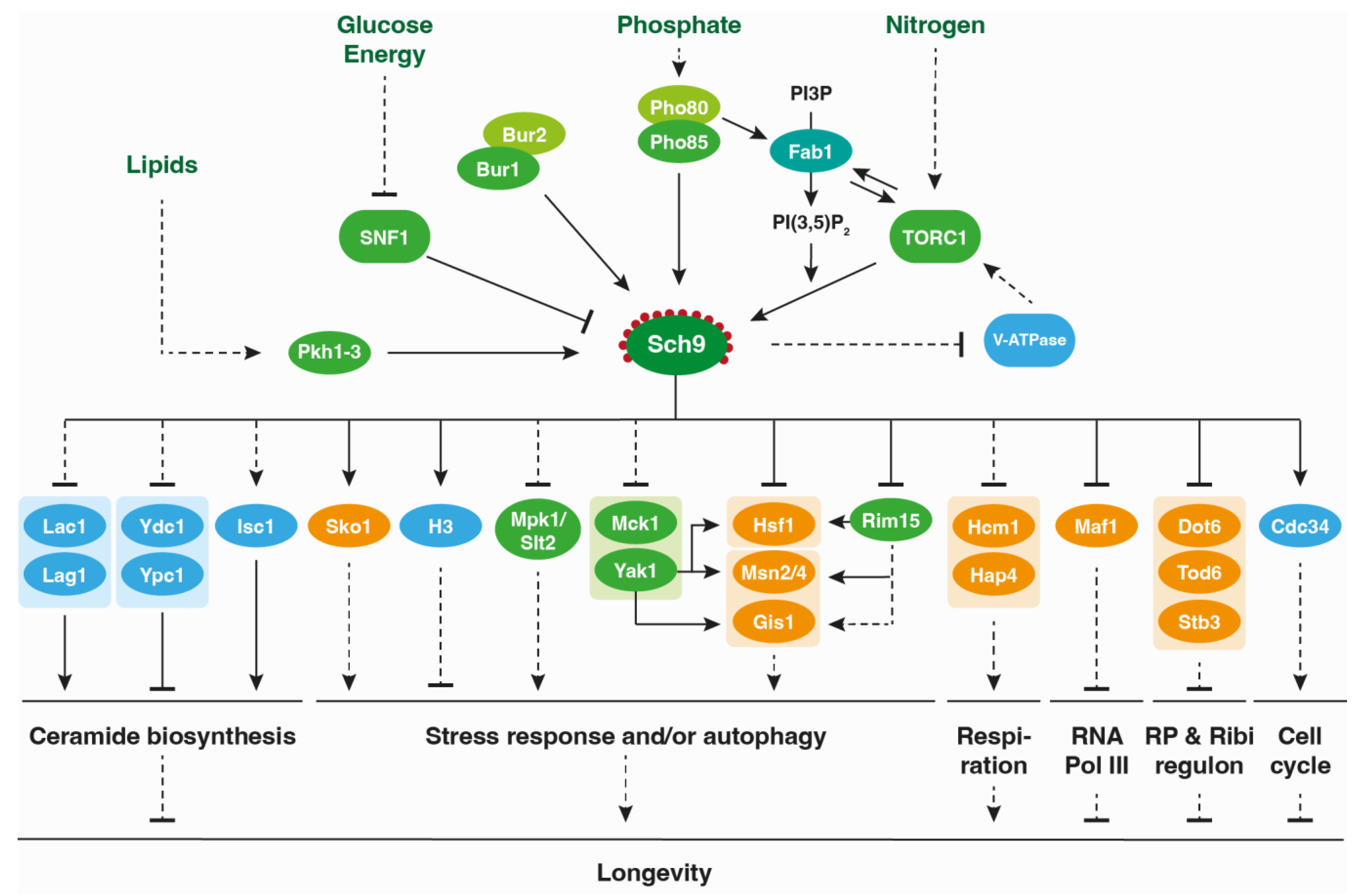 Jof 09 00787 g002 Jof 09 00787 g002