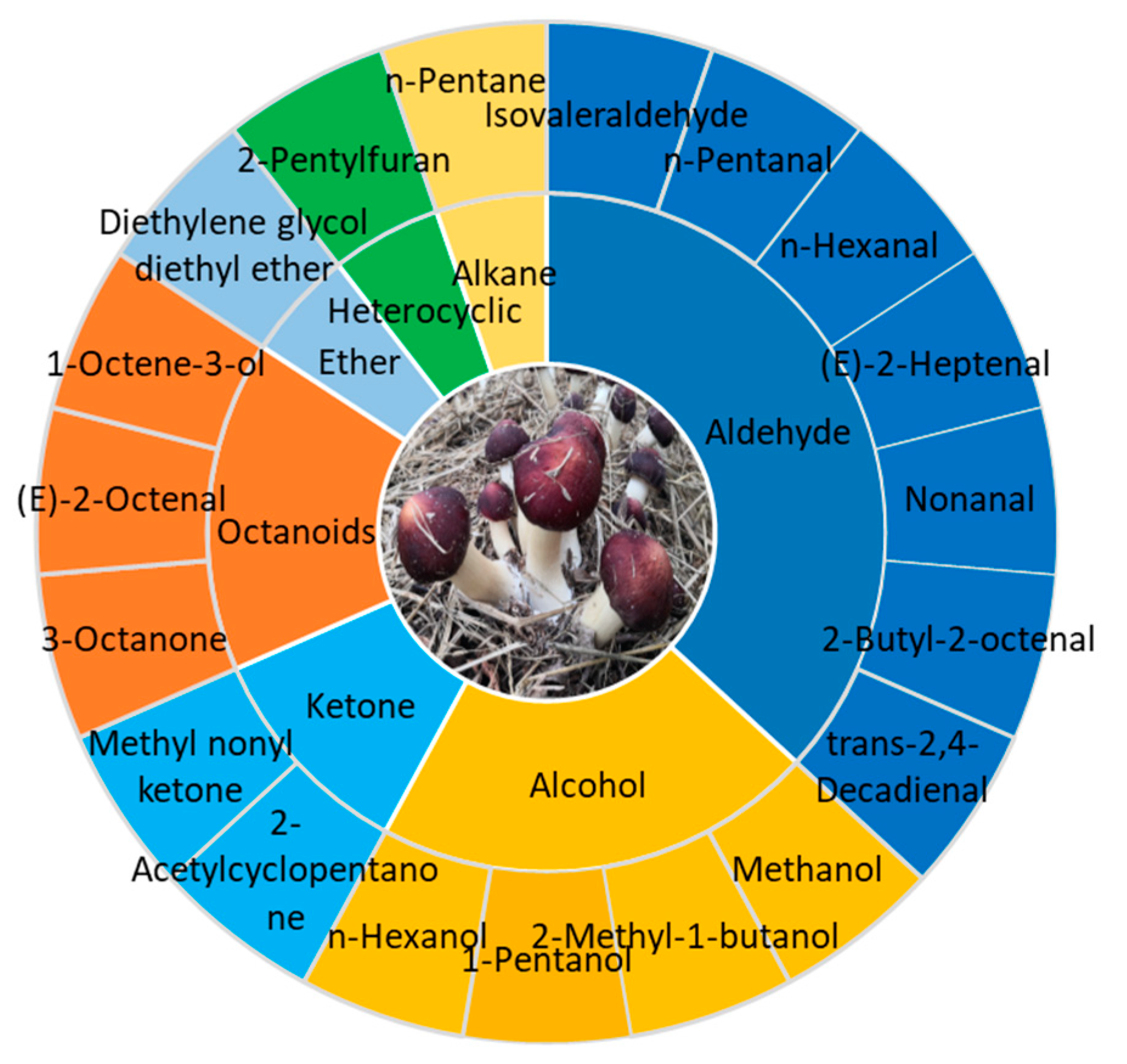 Jof 09 00792 g003 Jof 09 00792 g003