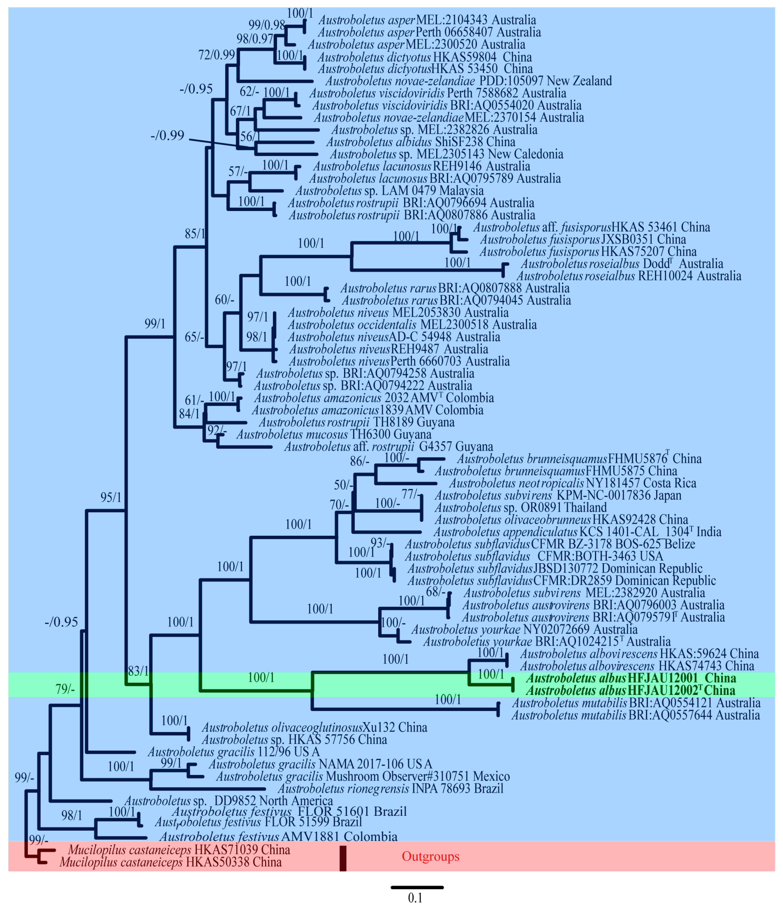 Jof 09 00814 g001 550