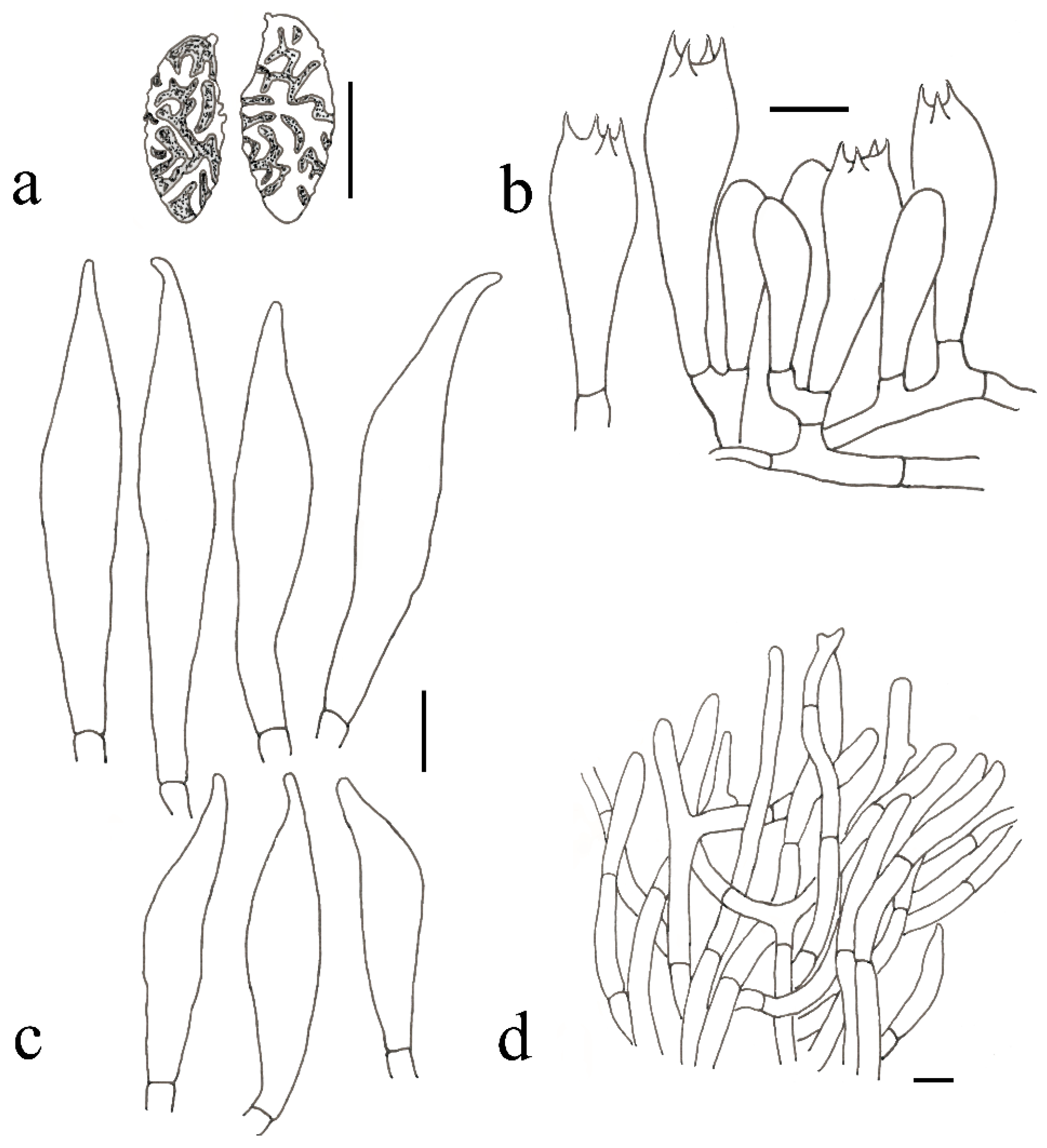 Jof 09 00814 g006 550