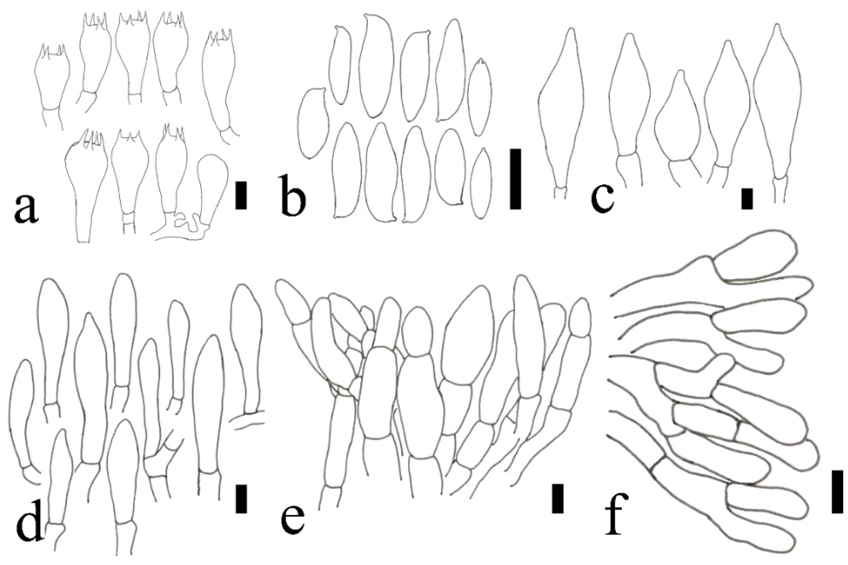 Jof 09 00814 g008 550