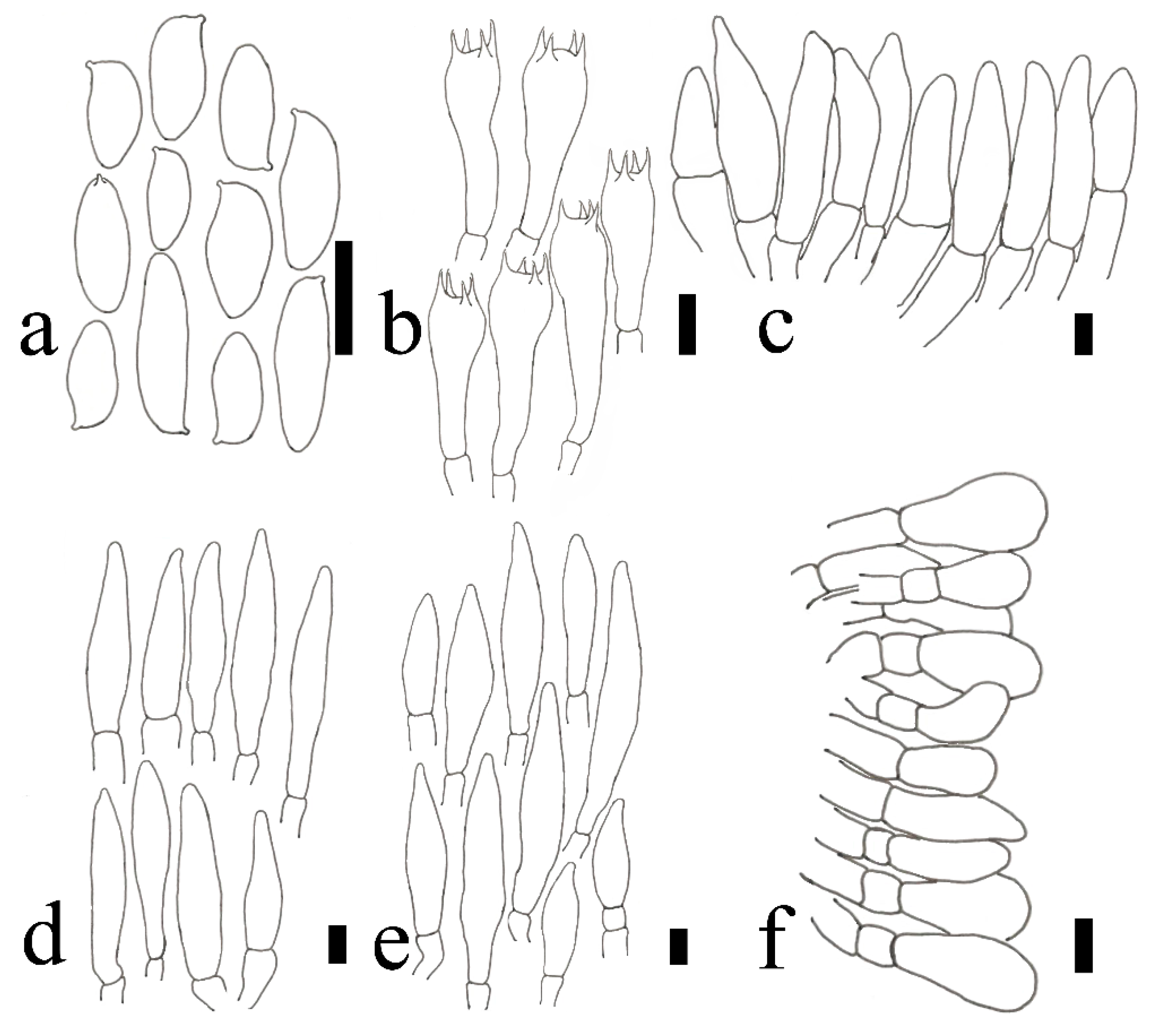 Jof 09 00814 g014 550