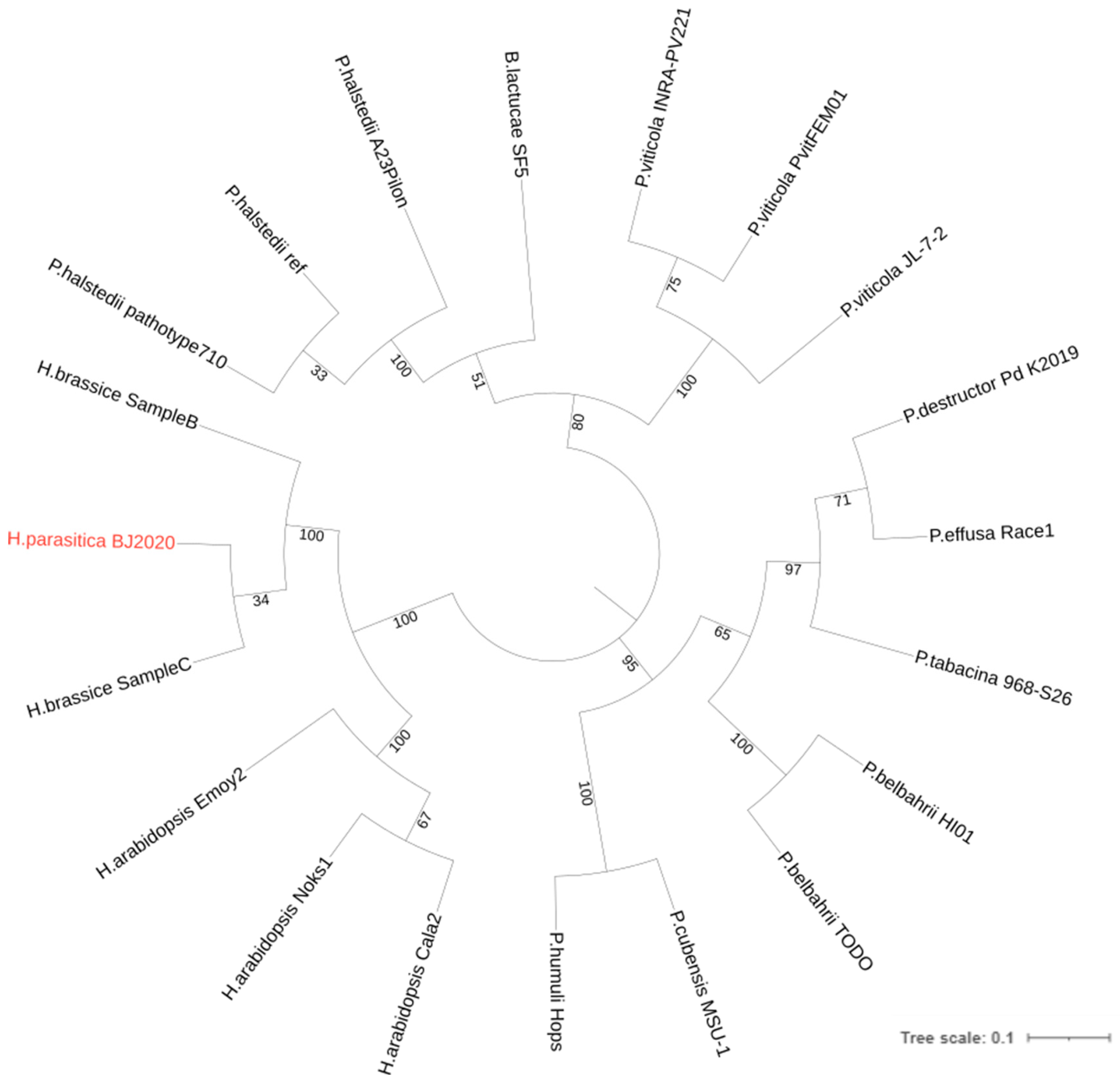 Jof 09 00819 g005 Jof 09 00819 g005