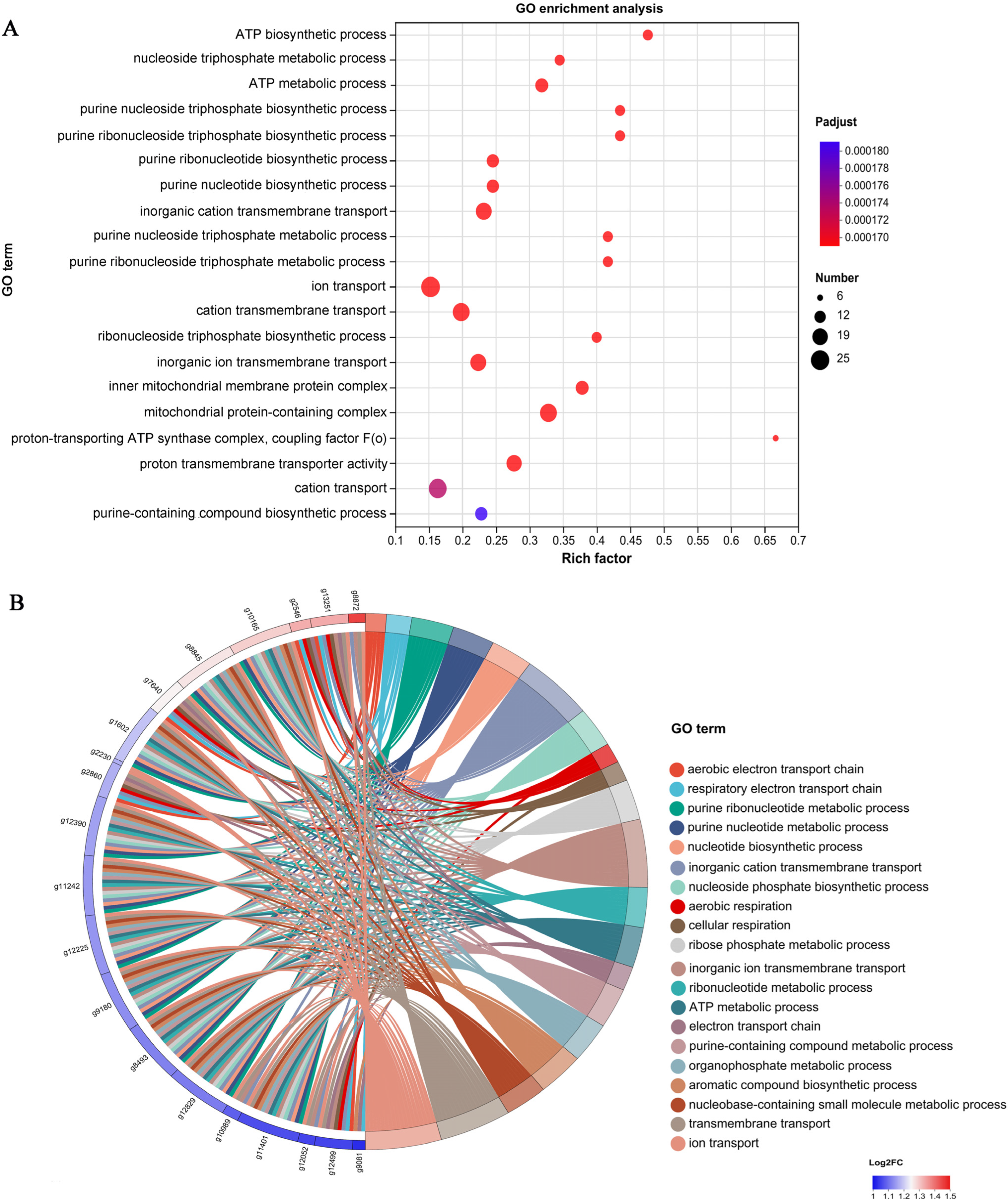 Jof 09 00823 g003 Jof 09 00823 g003