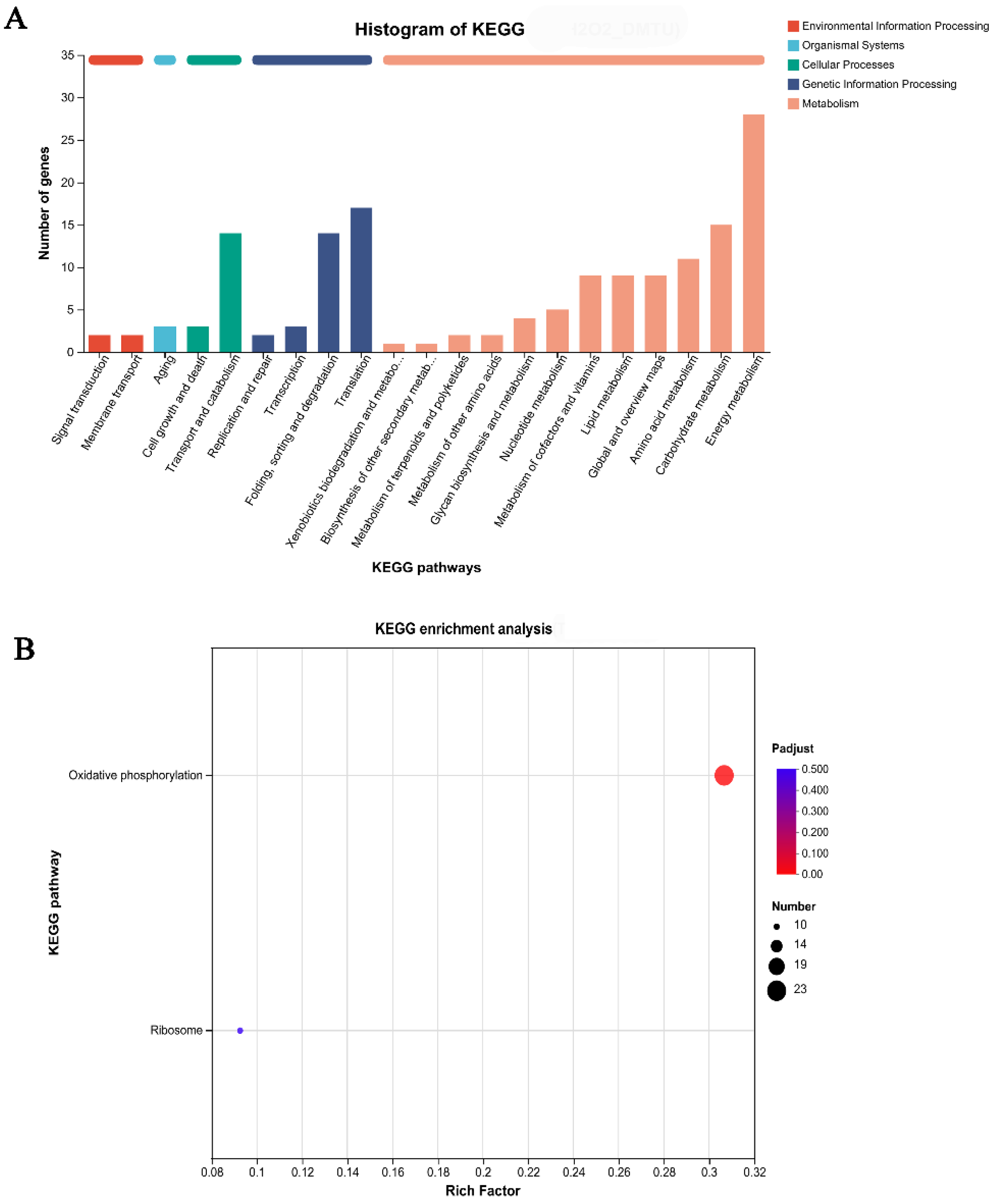 Jof 09 00823 g004 Jof 09 00823 g004