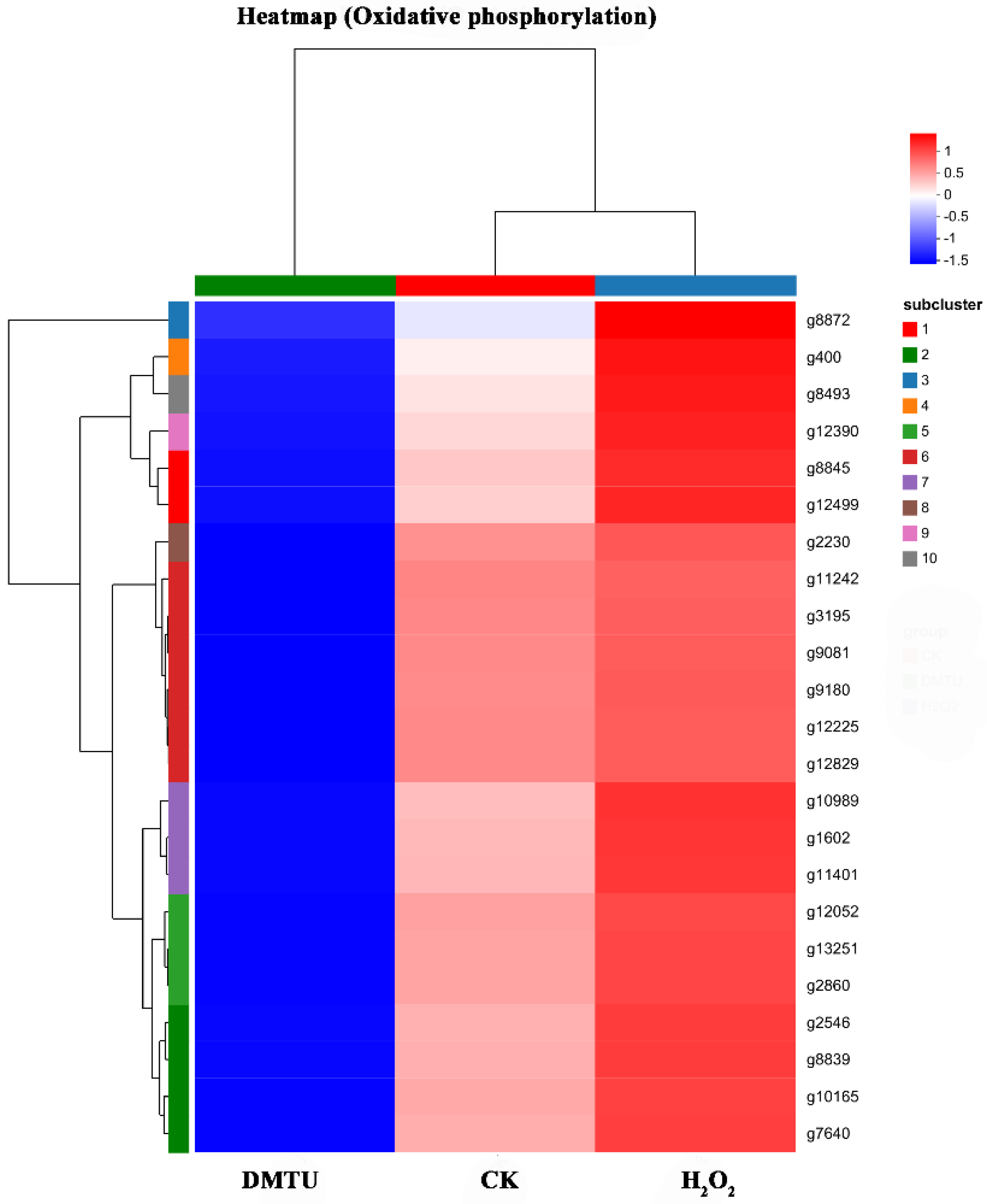Jof 09 00823 g005 Jof 09 00823 g005