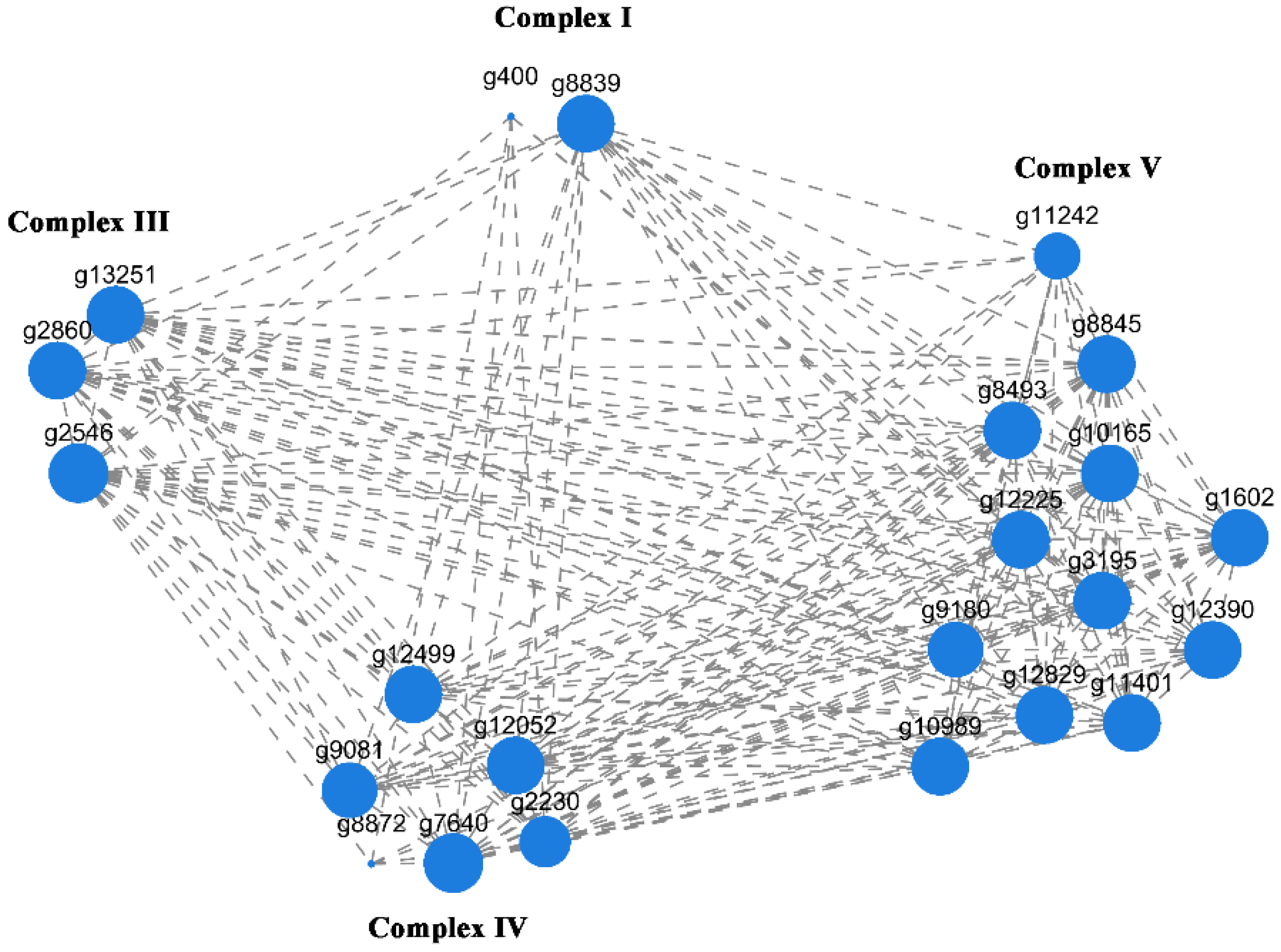 Jof 09 00823 g007 Jof 09 00823 g007