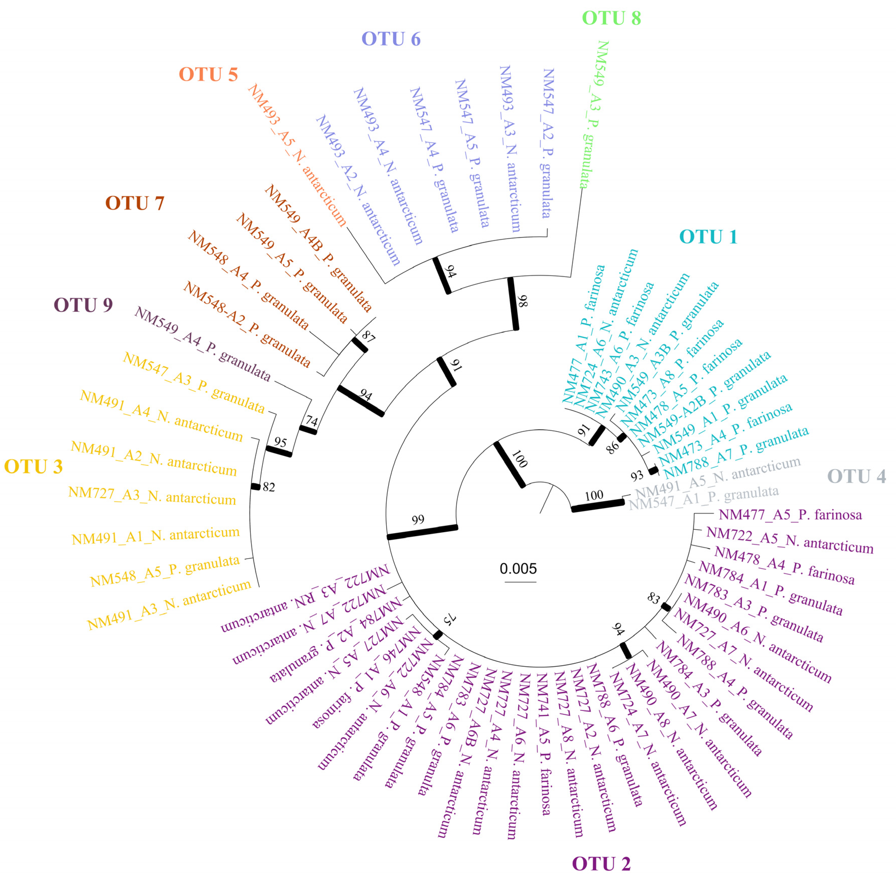 Jof 09 00826 g001 Jof 09 00826 g001