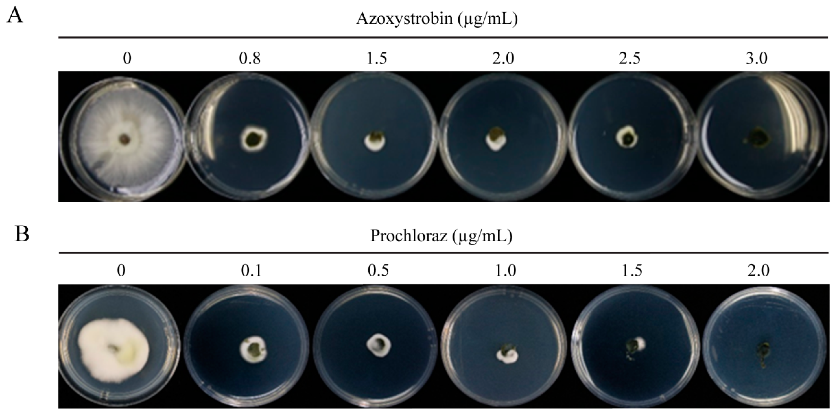 Jof 09 00832 g005 Jof 09 00832 g005