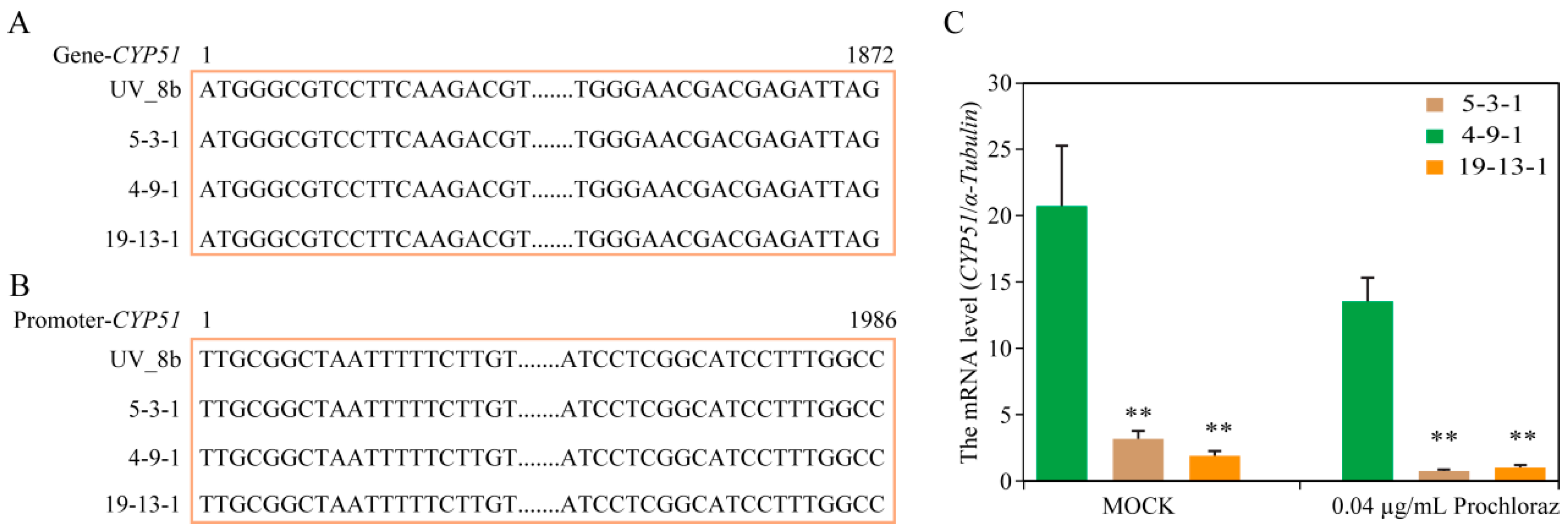 Jof 09 00832 g007 Jof 09 00832 g007