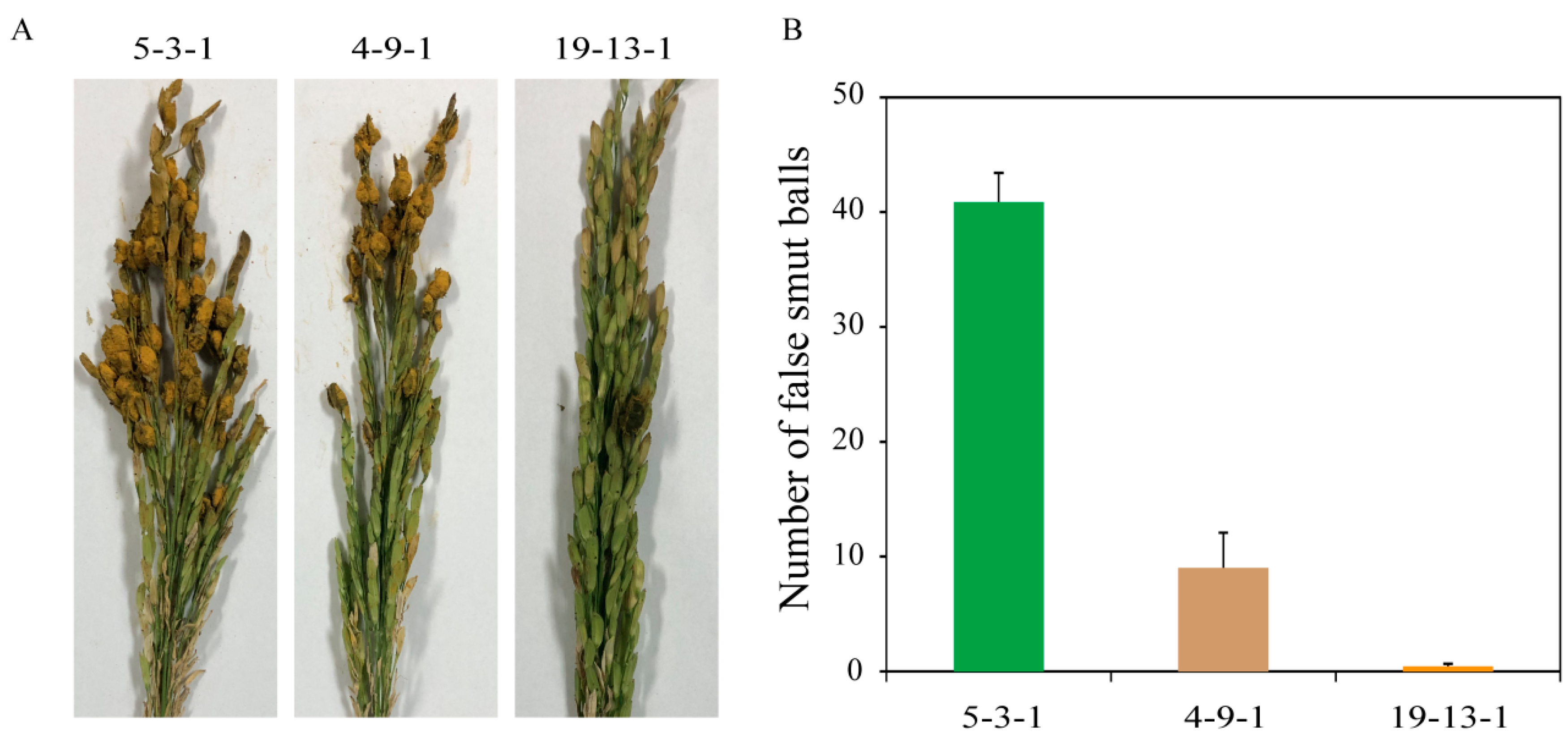 Jof 09 00832 g008 Jof 09 00832 g008