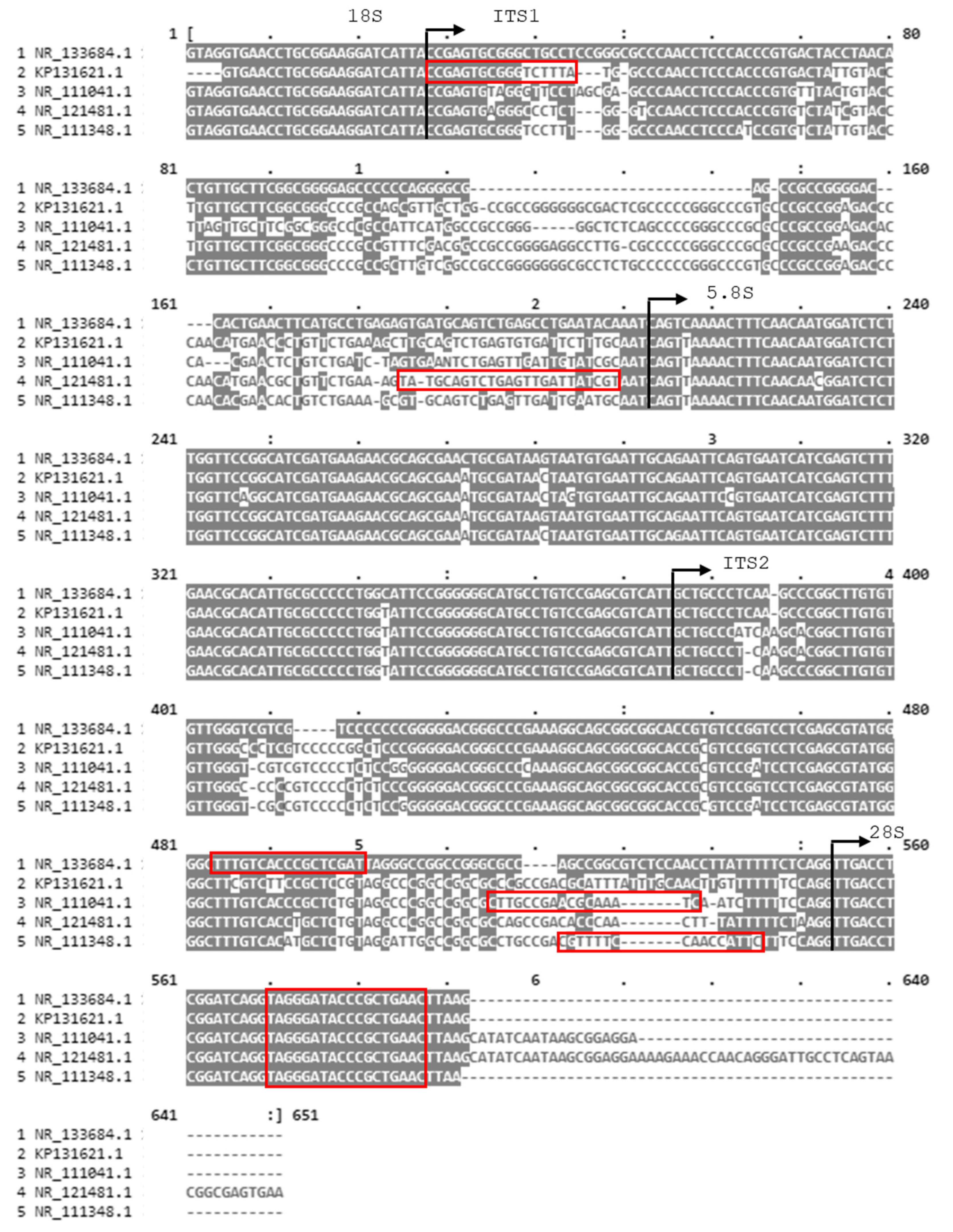 Jof 09 00842 g001 Jof 09 00842 g001