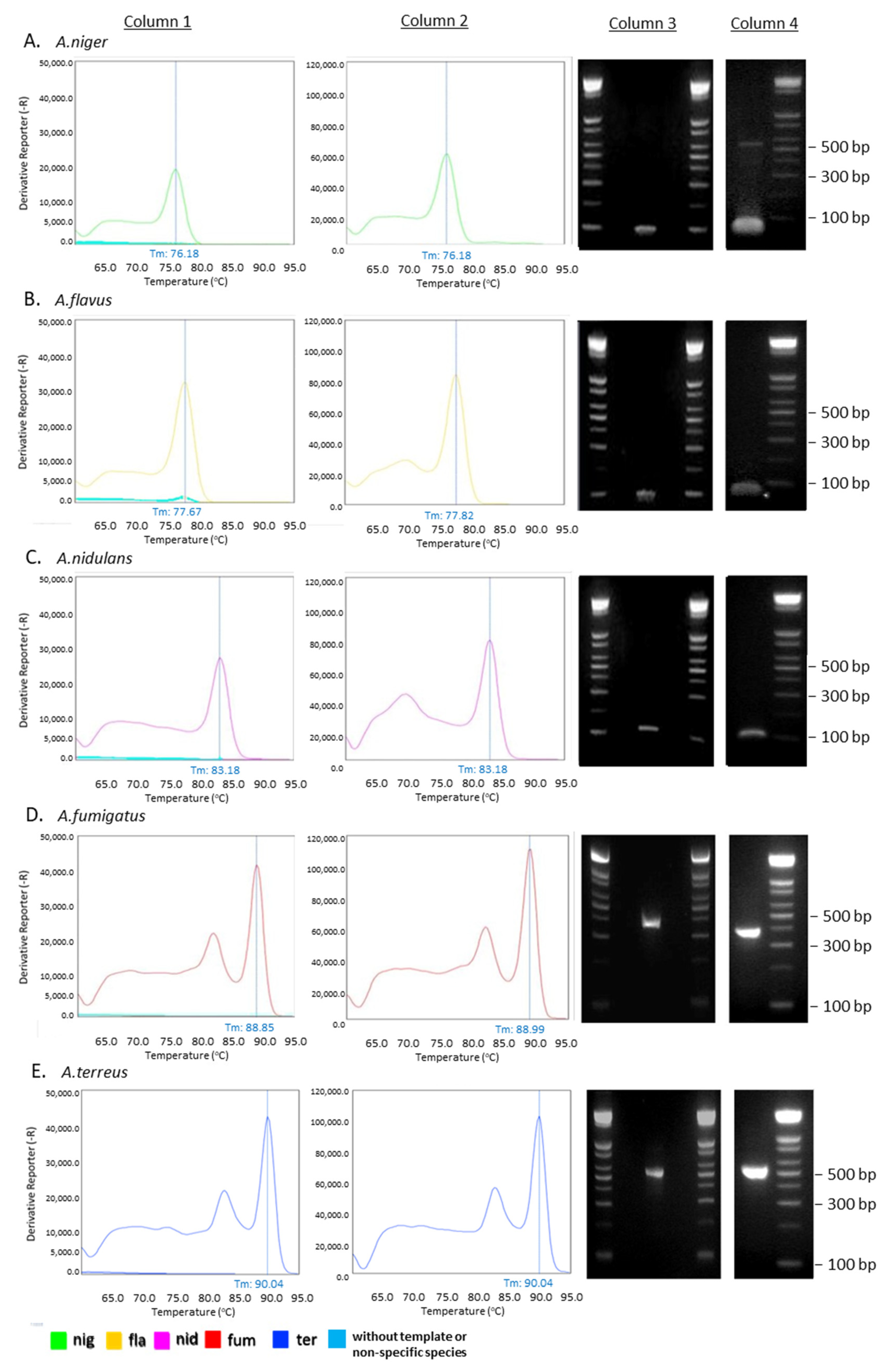 Jof 09 00842 g003 Jof 09 00842 g003