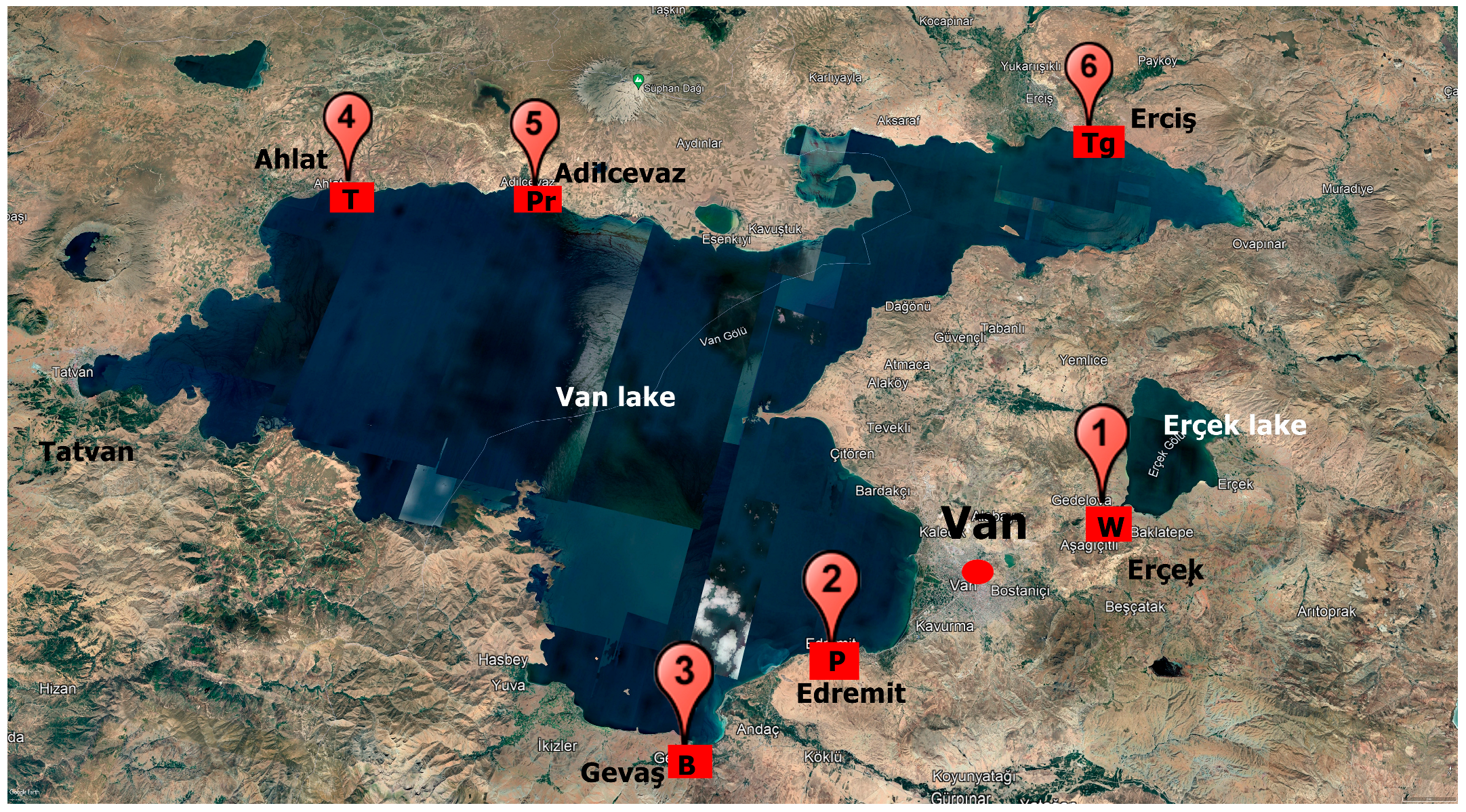 Jof 09 00845 g001 Jof 09 00845 g001