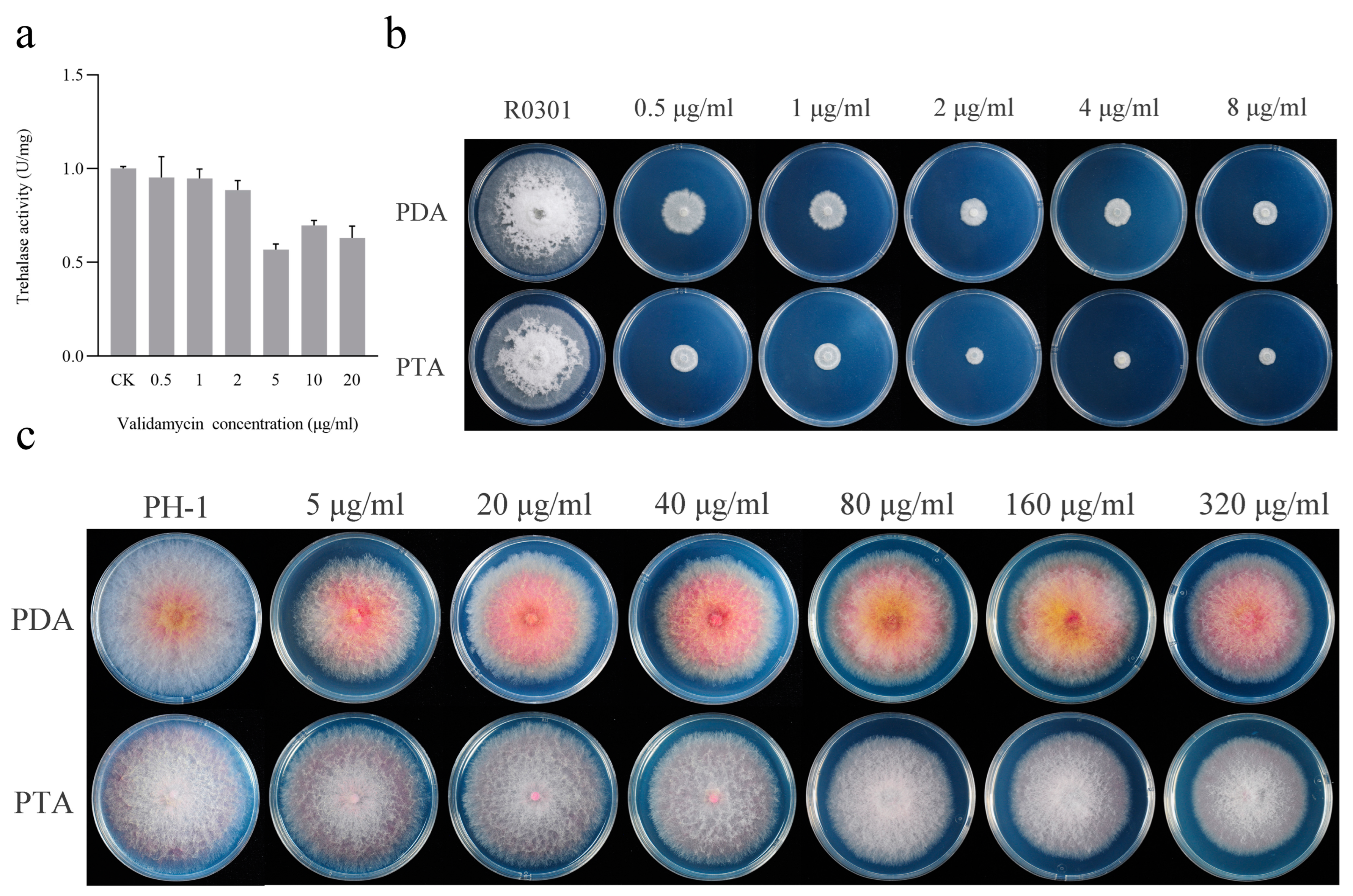 Jof 09 00846 g001 Jof 09 00846 g001