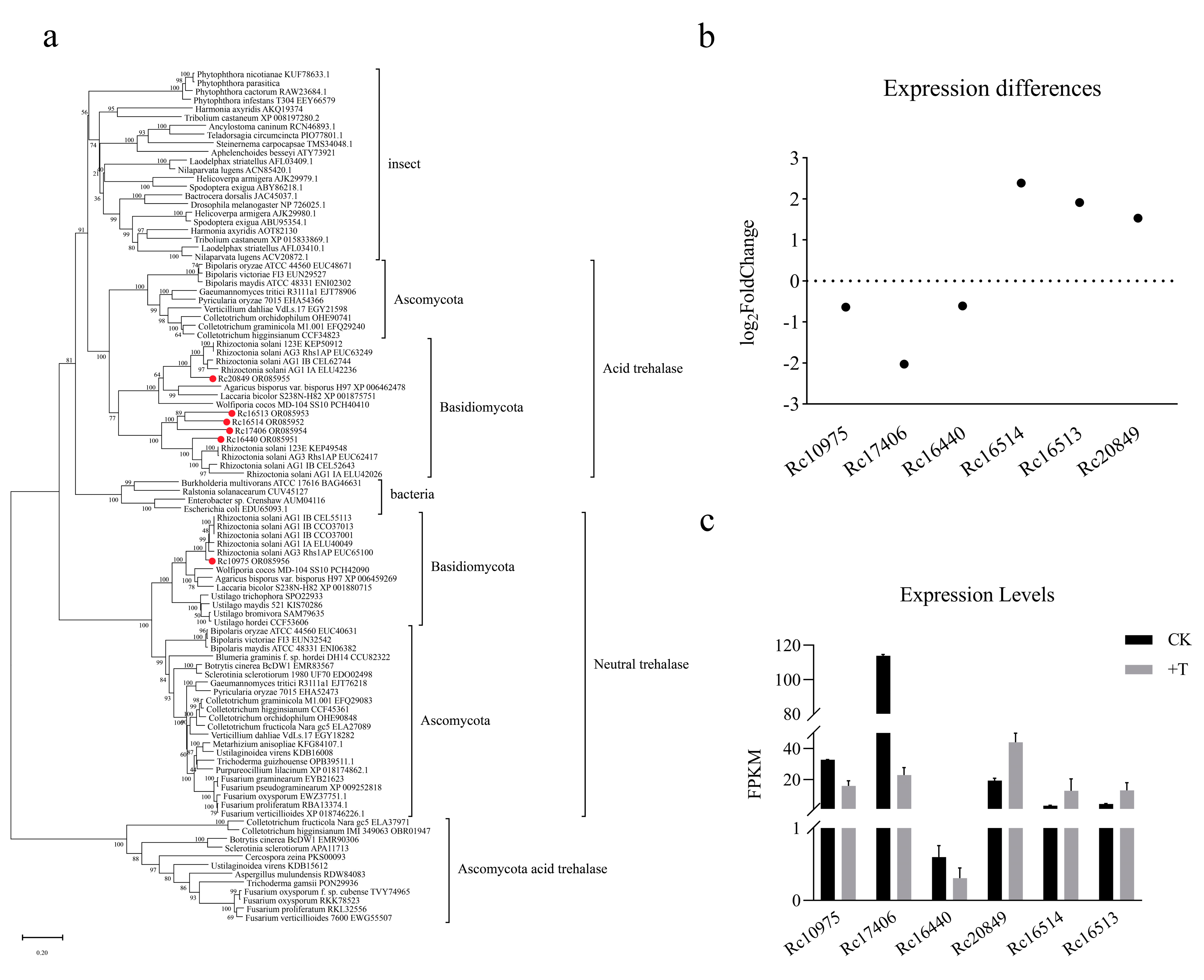 Jof 09 00846 g002 Jof 09 00846 g002