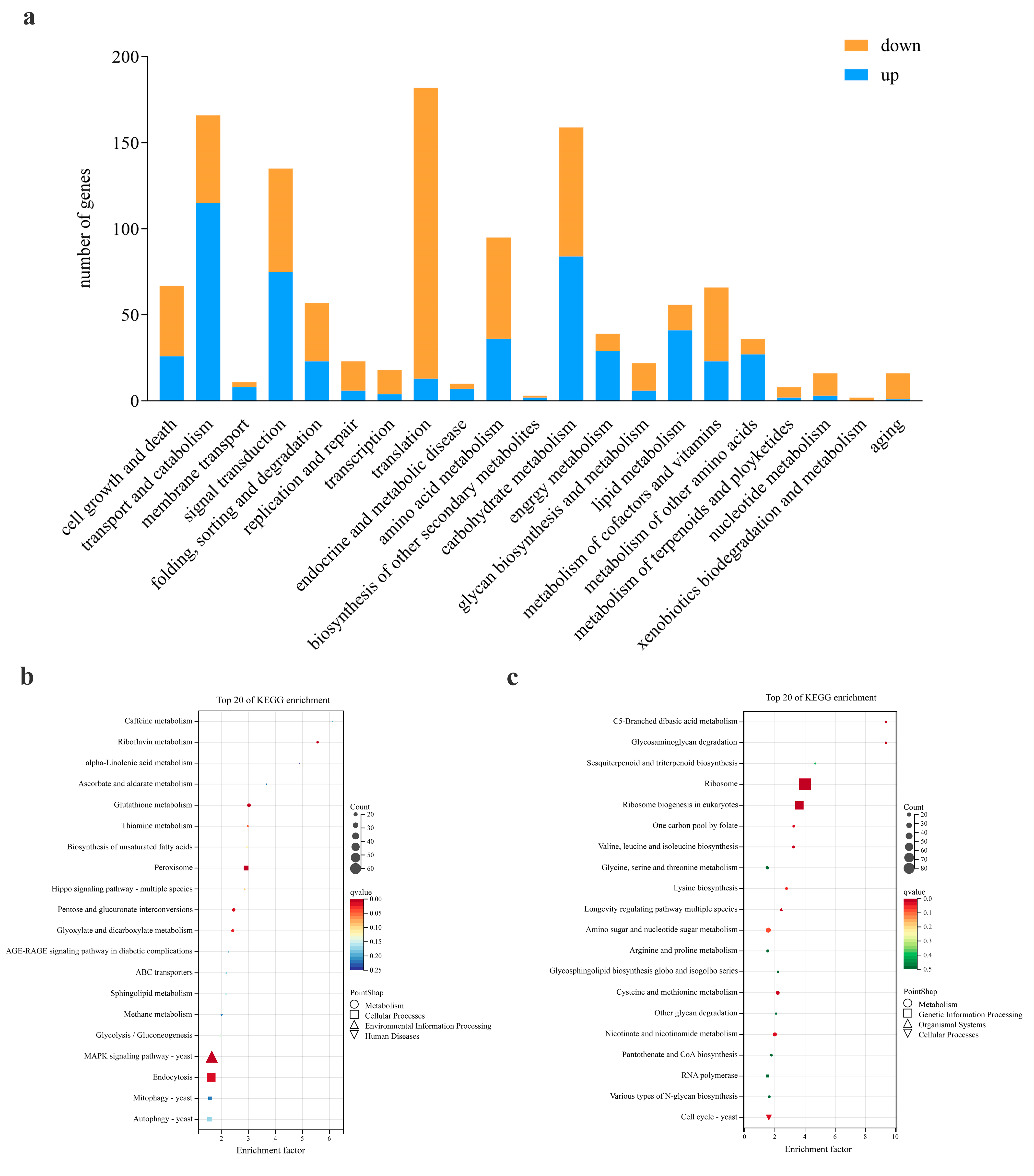 Jof 09 00846 g004 Jof 09 00846 g004
