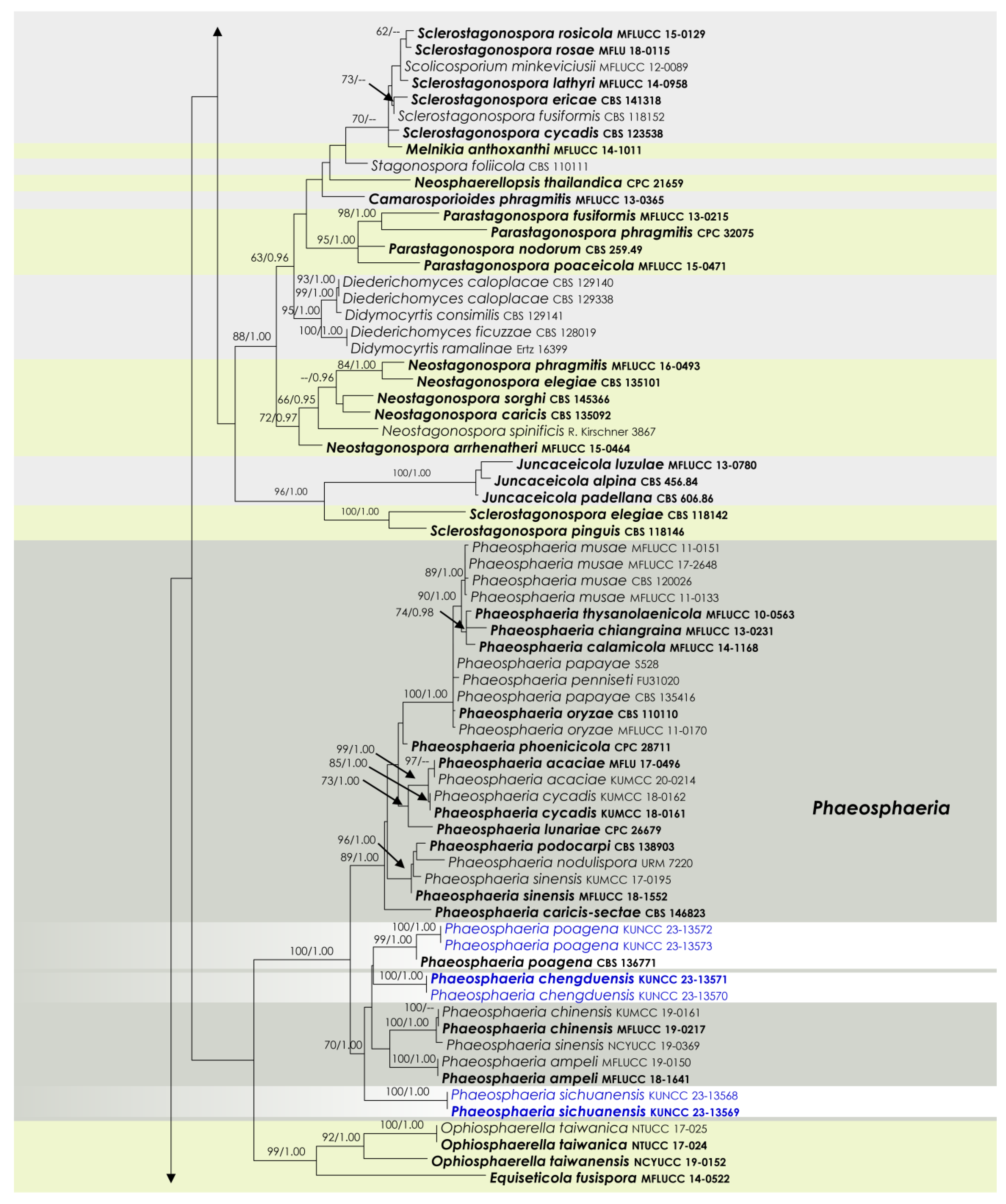 Jof 09 00853 g001b Jof 09 00853 g001b