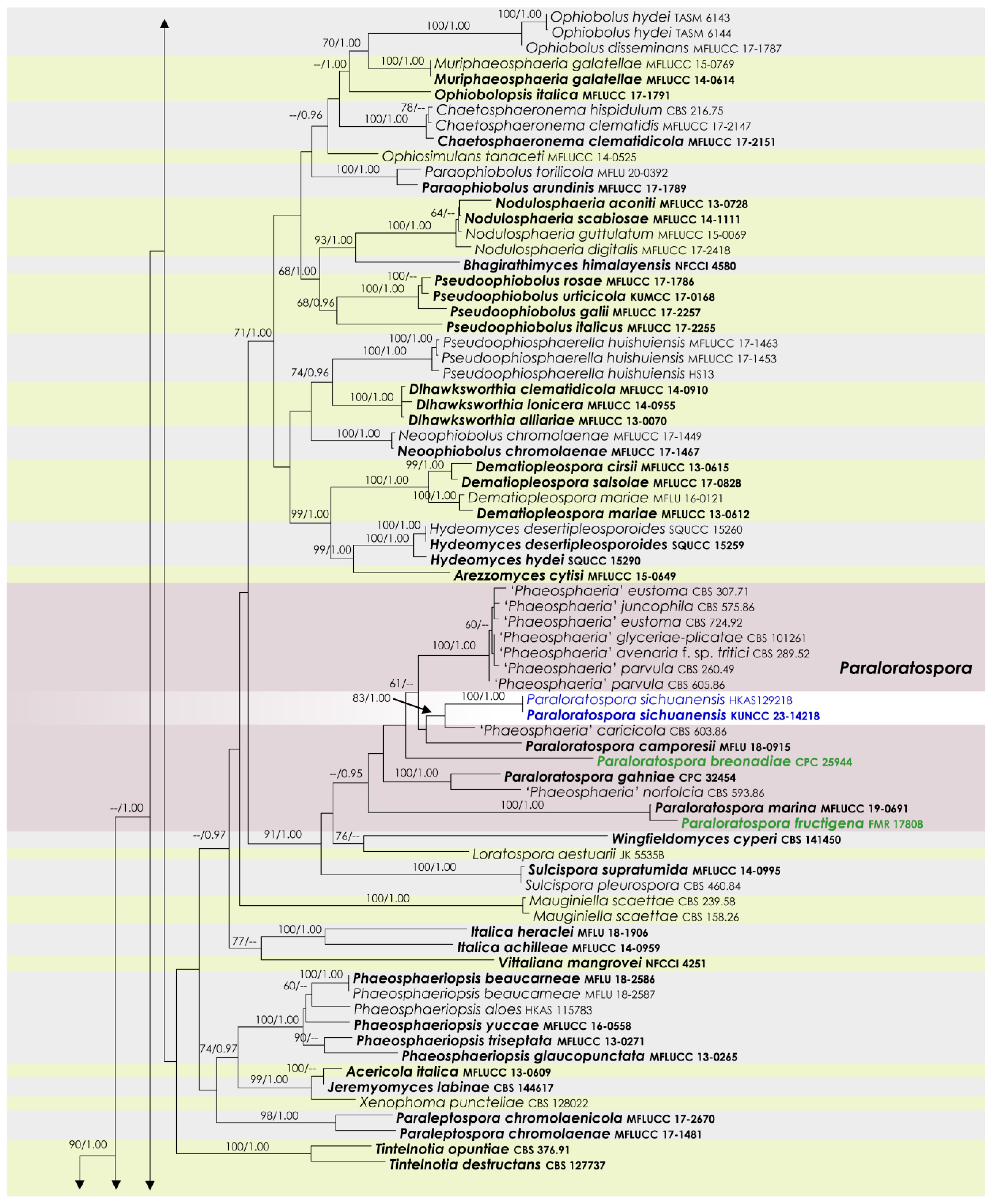 Jof 09 00853 g001c Jof 09 00853 g001c