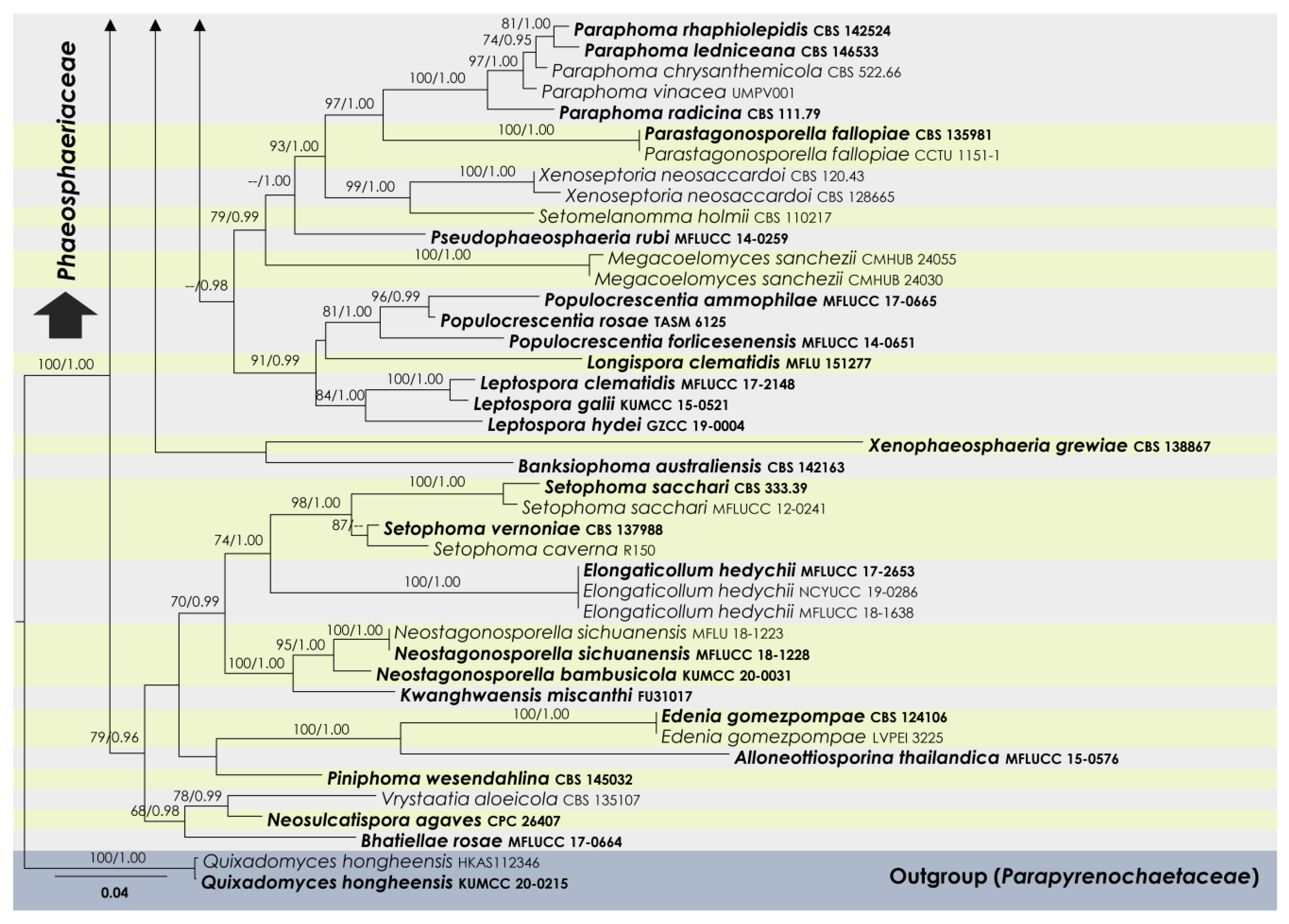 Jof 09 00853 g001d Jof 09 00853 g001d