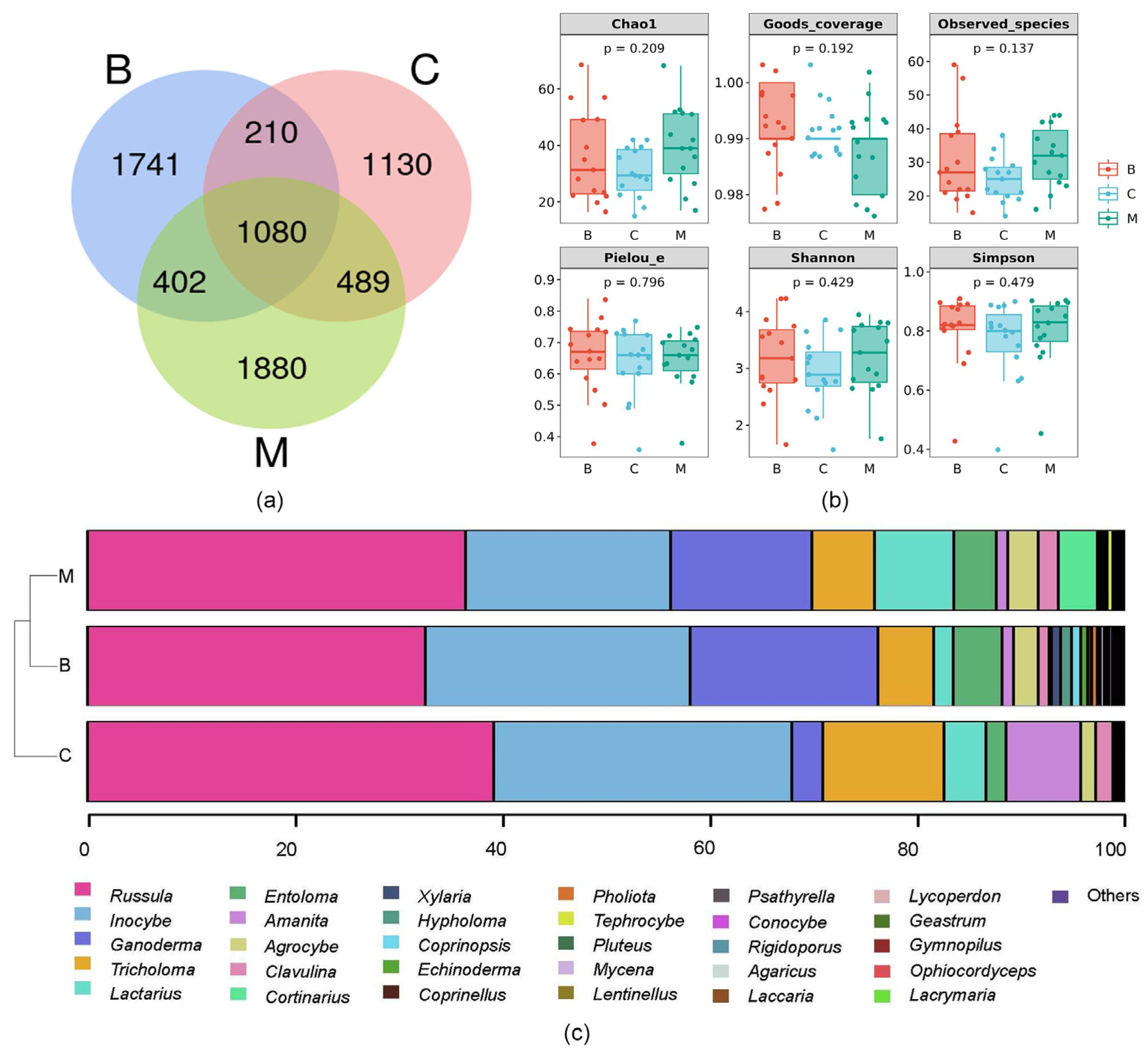 Jof 09 00856 g006 Jof 09 00856 g006
