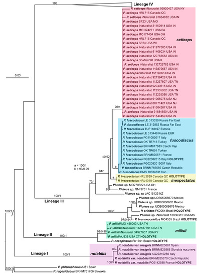 JoF | Free Full-Text | Holarctic Species In The Pluteus.