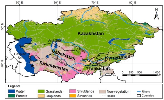 Macrofungi as Medicinal Resources in Uzbekistan