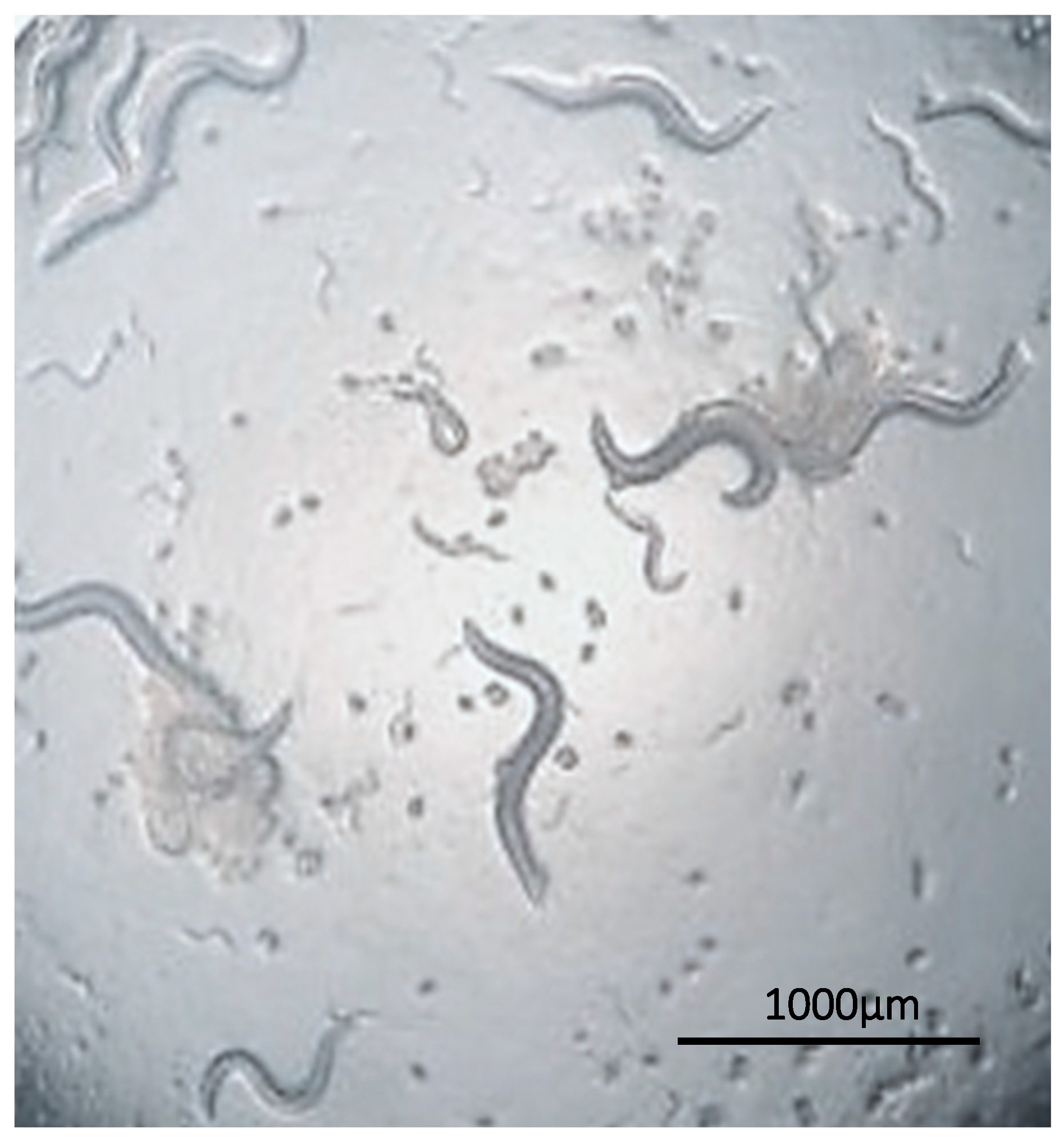 Jof 09 00943 g004 Jof 09 00943 g004