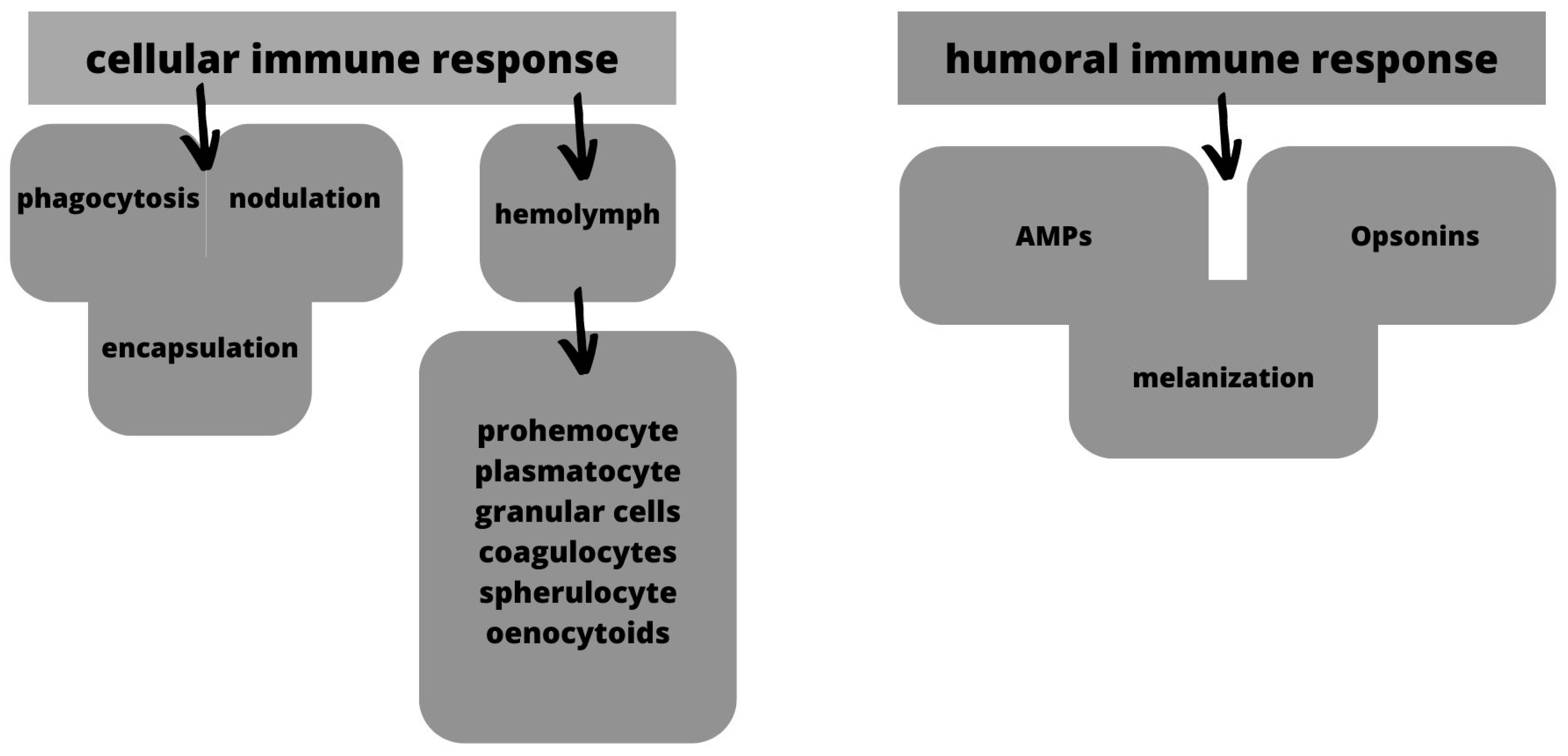 Jof 09 00943 g006 Jof 09 00943 g006