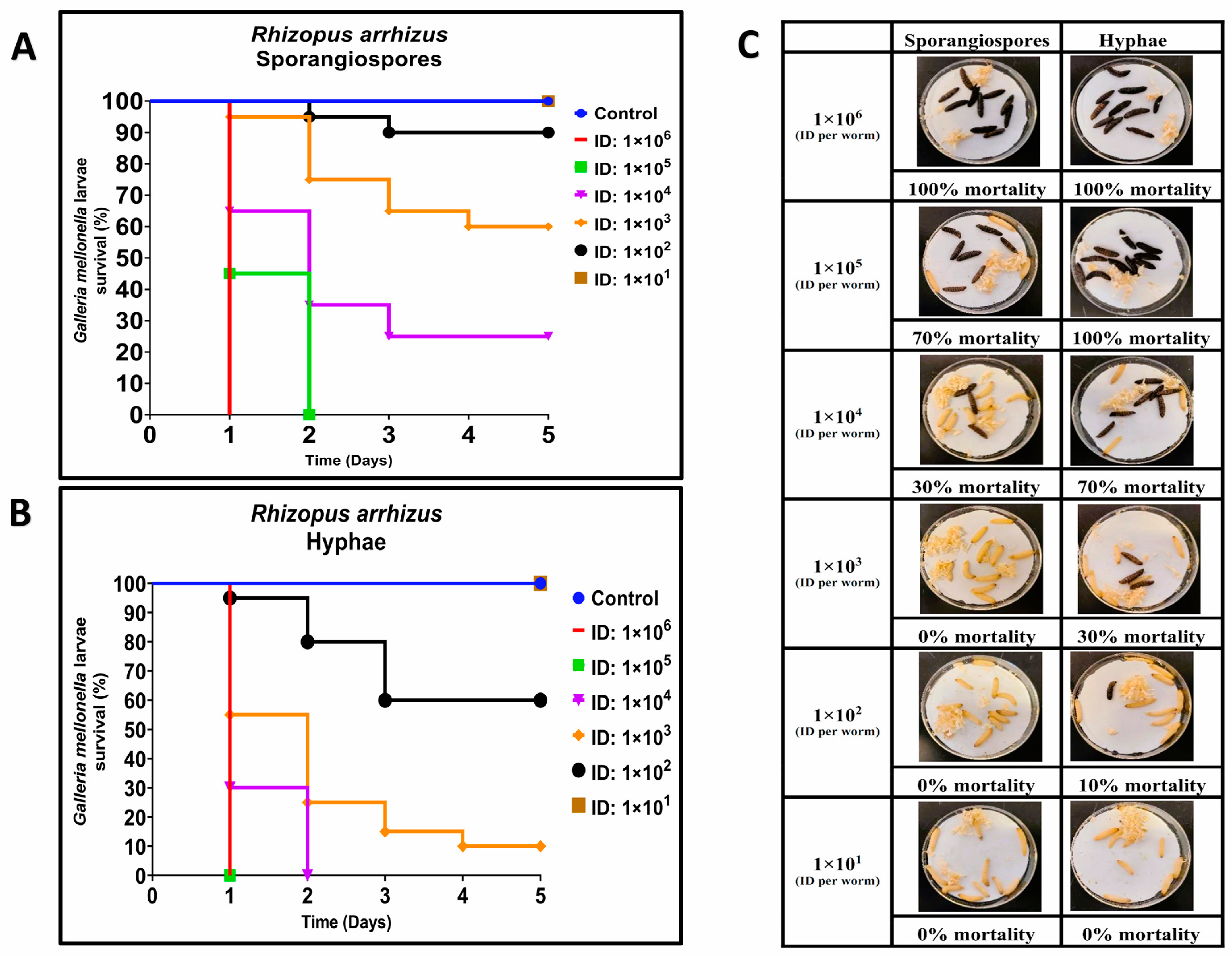Jof 09 00958 g001 Jof 09 00958 g001
