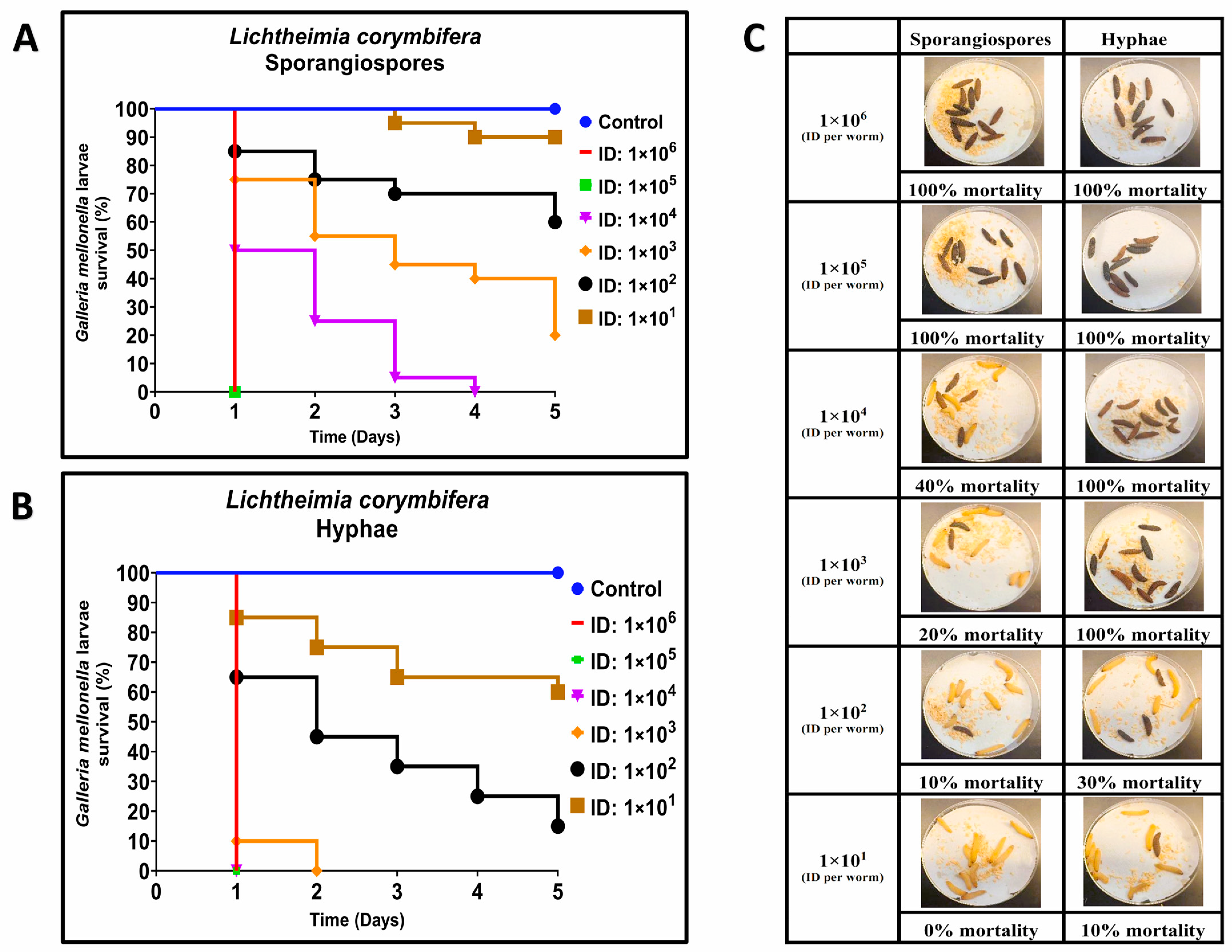 Jof 09 00958 g002 Jof 09 00958 g002