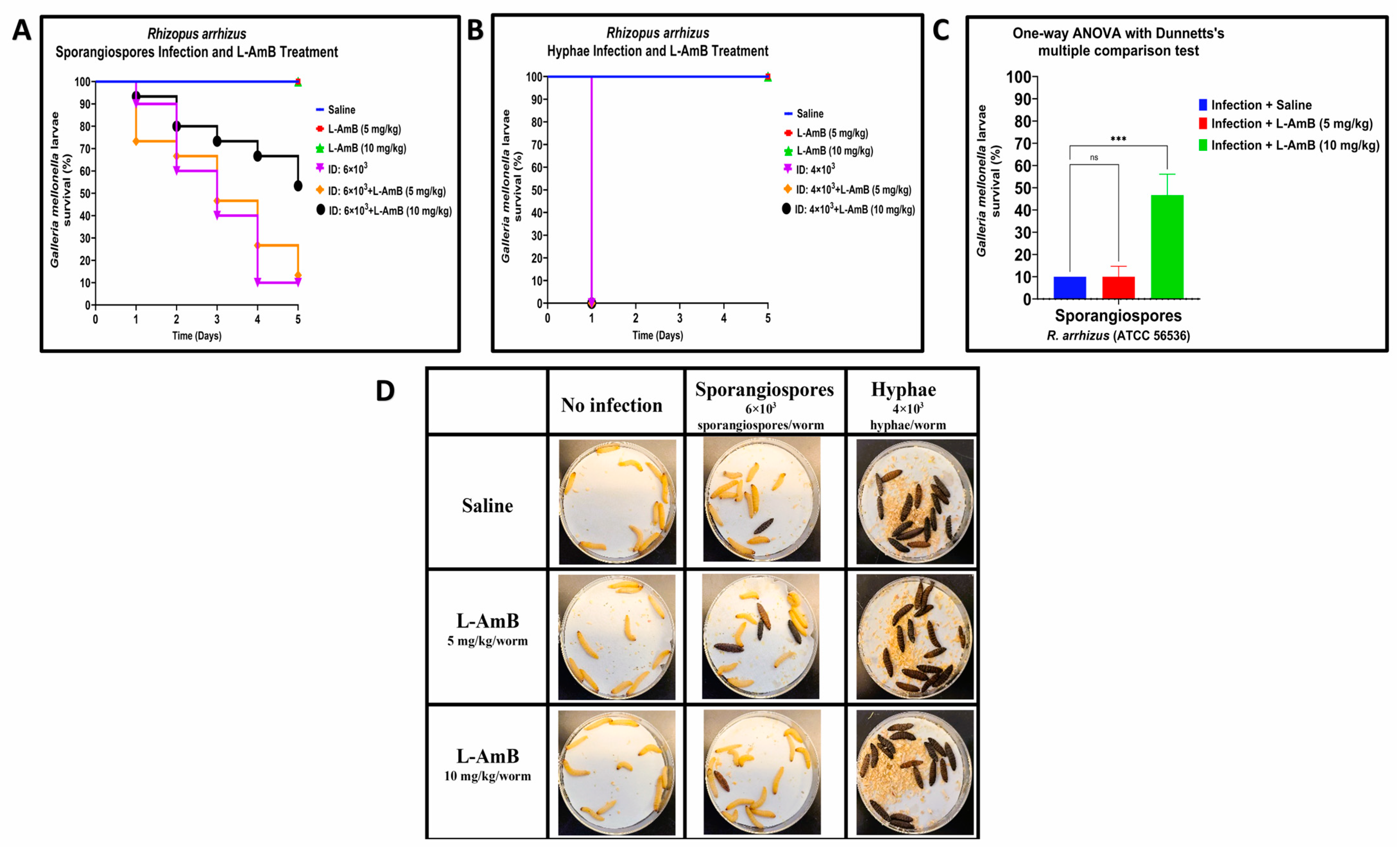 Jof 09 00958 g003 Jof 09 00958 g003