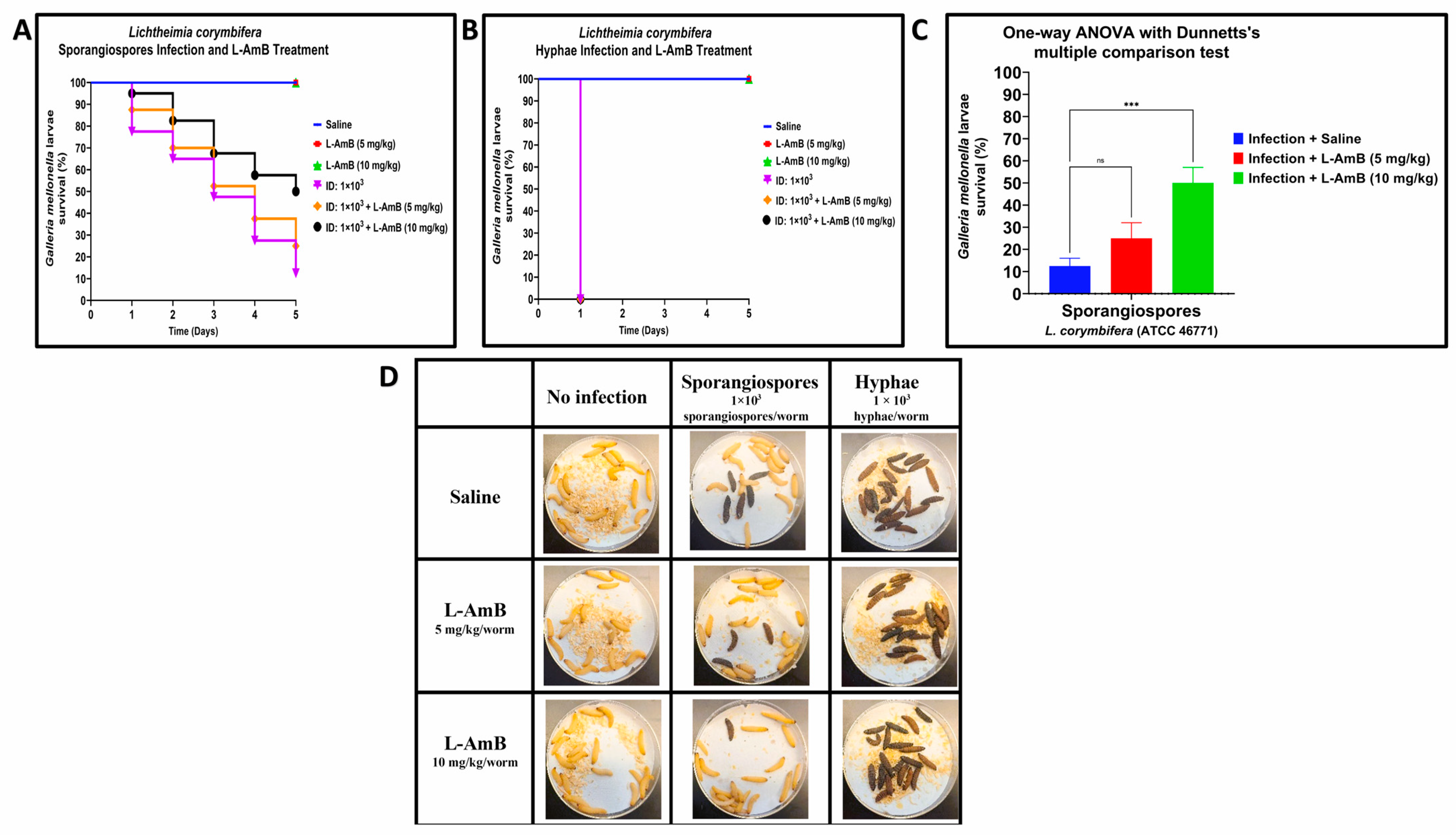 Jof 09 00958 g004 Jof 09 00958 g004