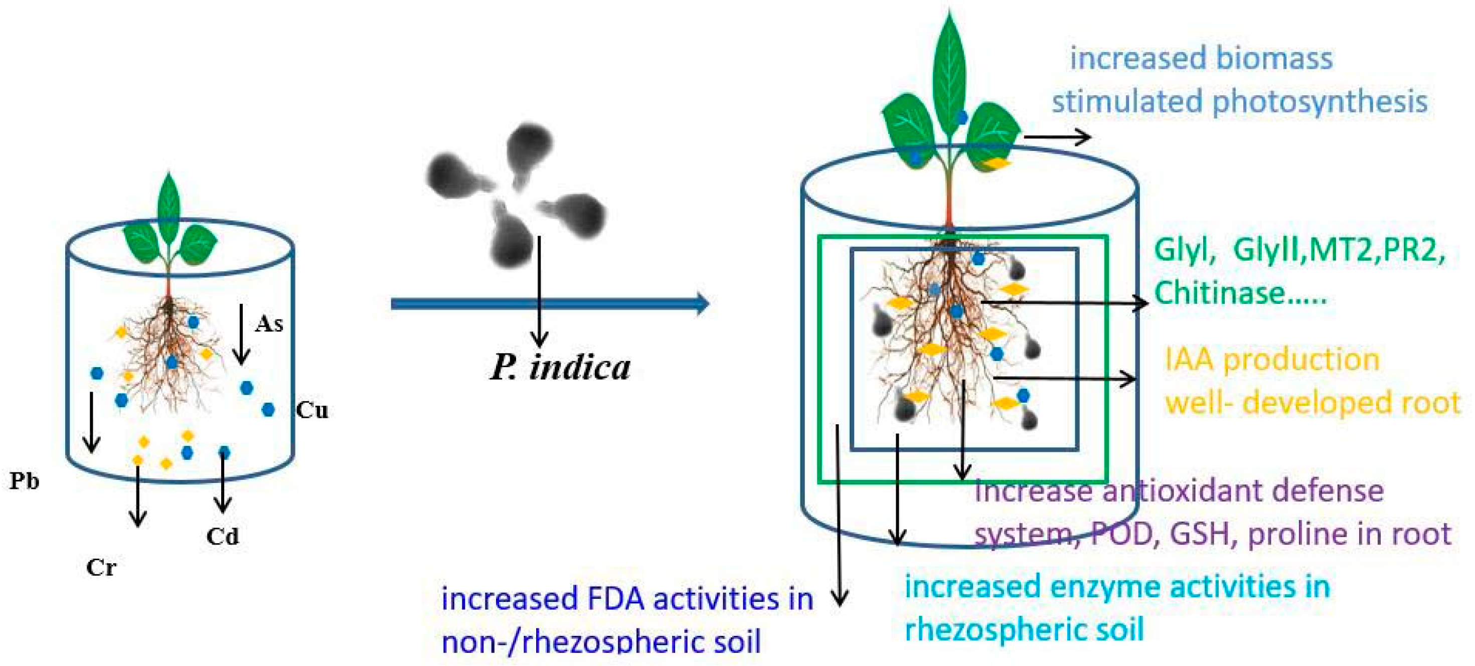 Jof 09 00965 g002 Jof 09 00965 g002