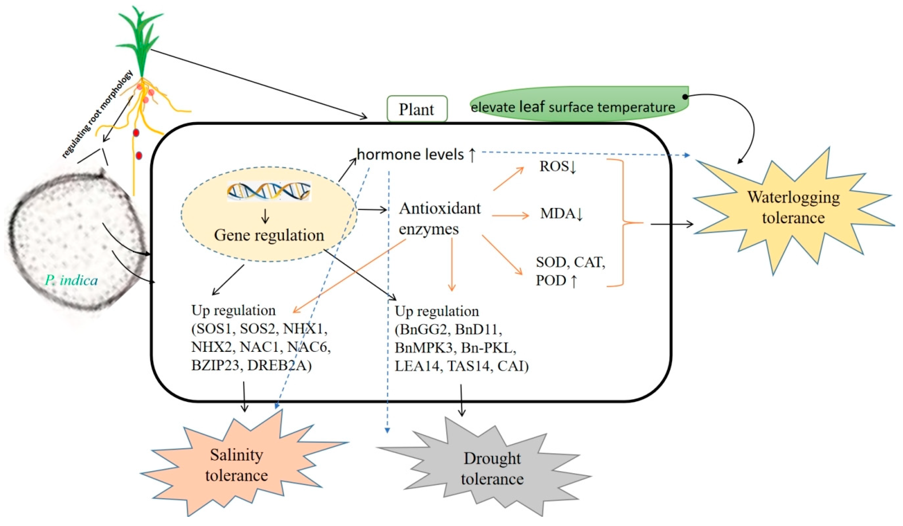 Jof 09 00965 g003 Jof 09 00965 g003