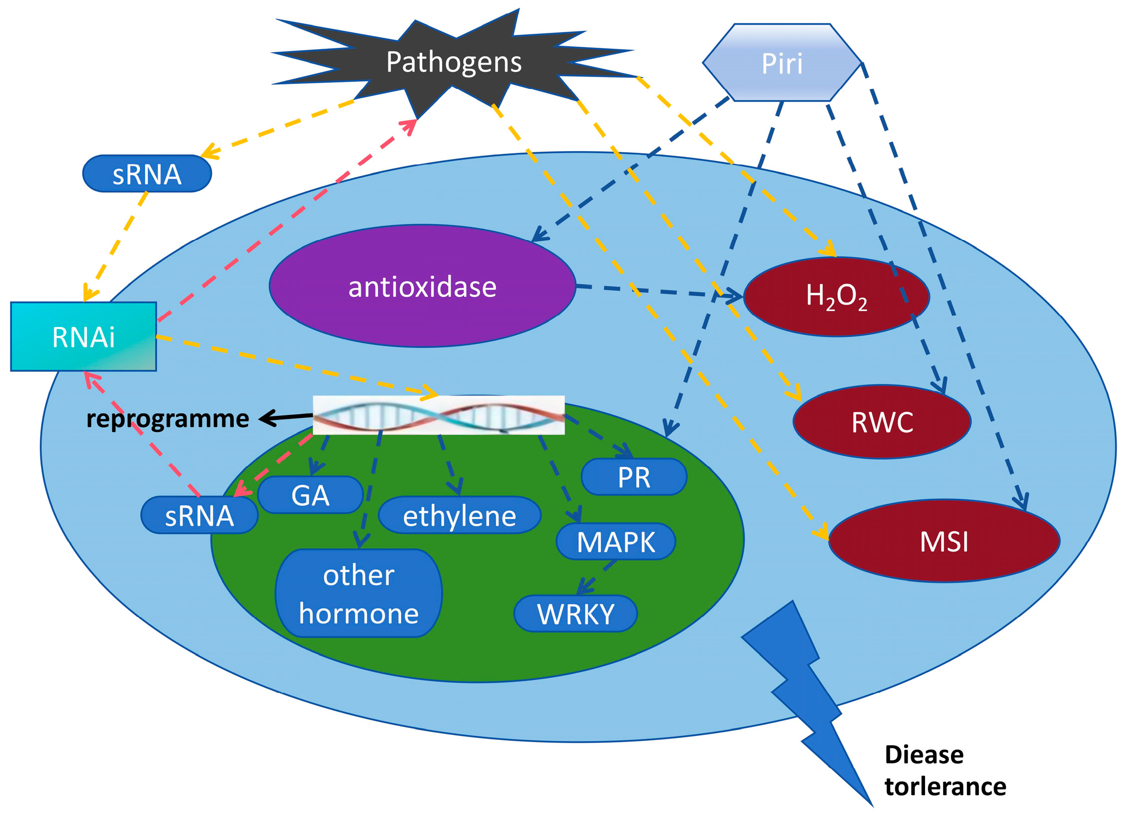 Jof 09 00965 g004 Jof 09 00965 g004