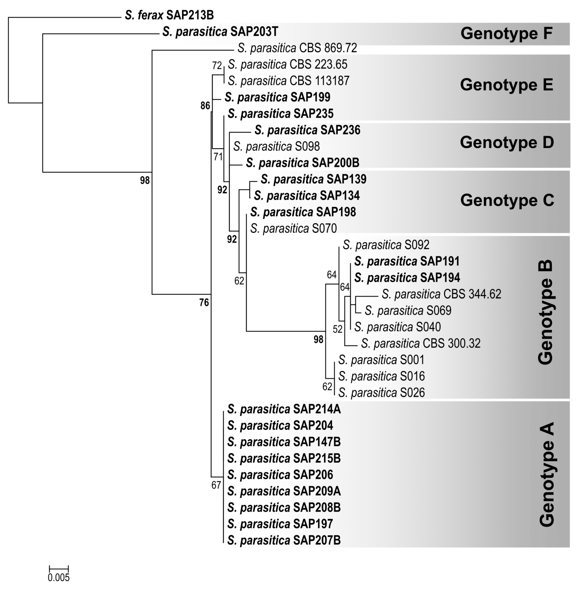 Jof 09 00982 g004 Jof 09 00982 g004