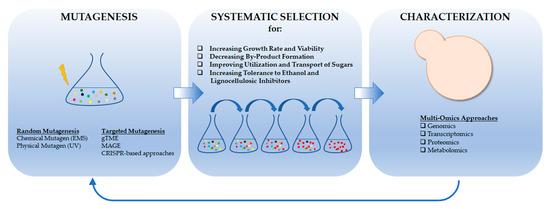 ☆ Whence CRIPTO: The Reemergence of an Oncofetal Factor in