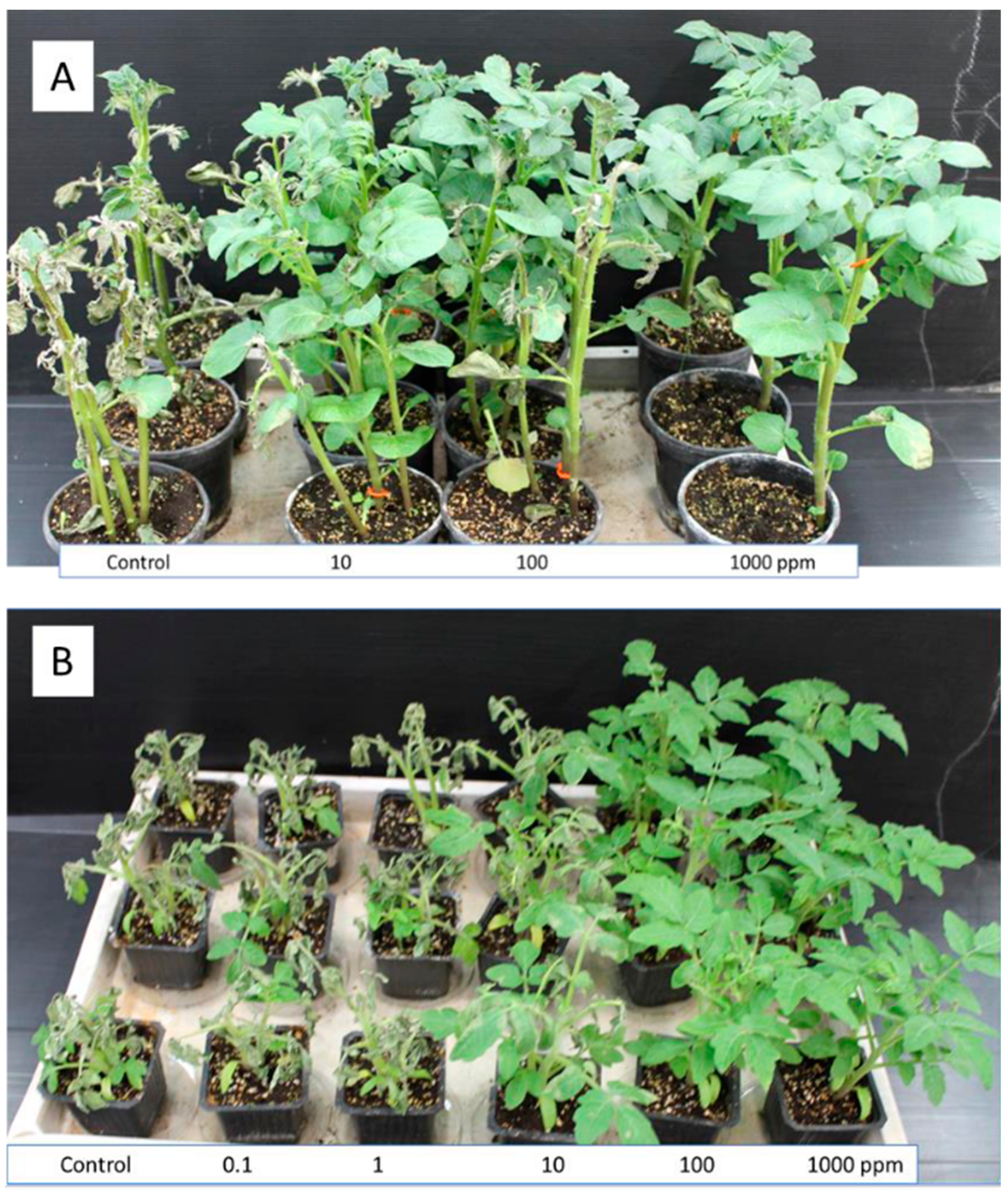 Jof 09 01046 g001 Jof 09 01046 g001