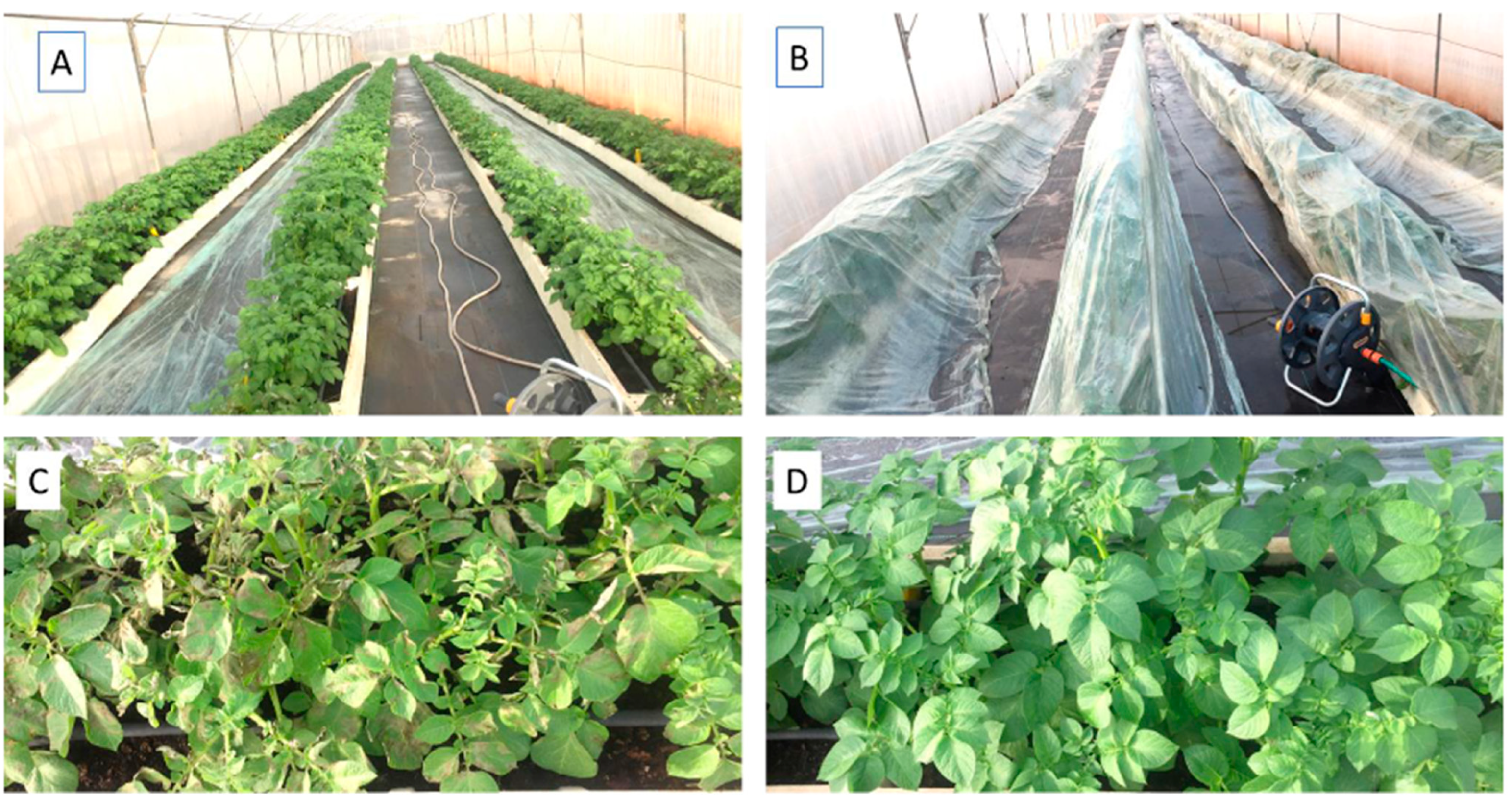 Jof 09 01046 g002 Jof 09 01046 g002