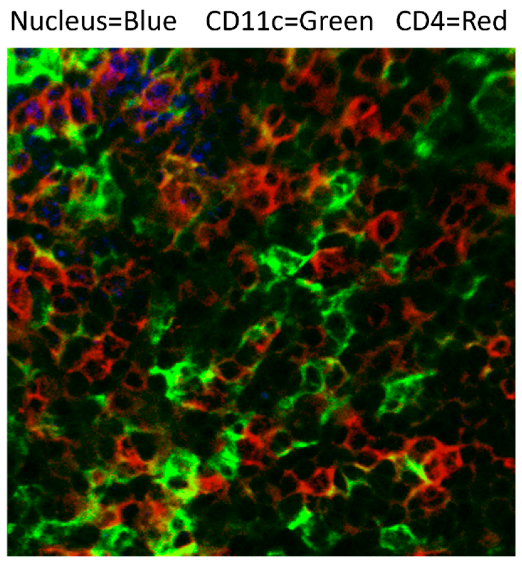 Jof 09 01050 g004 Jof 09 01050 g004