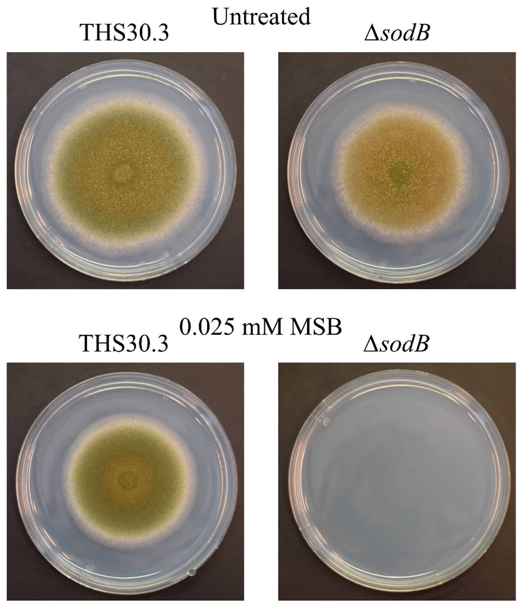 Jof 09 01060 g001 Jof 09 01060 g001