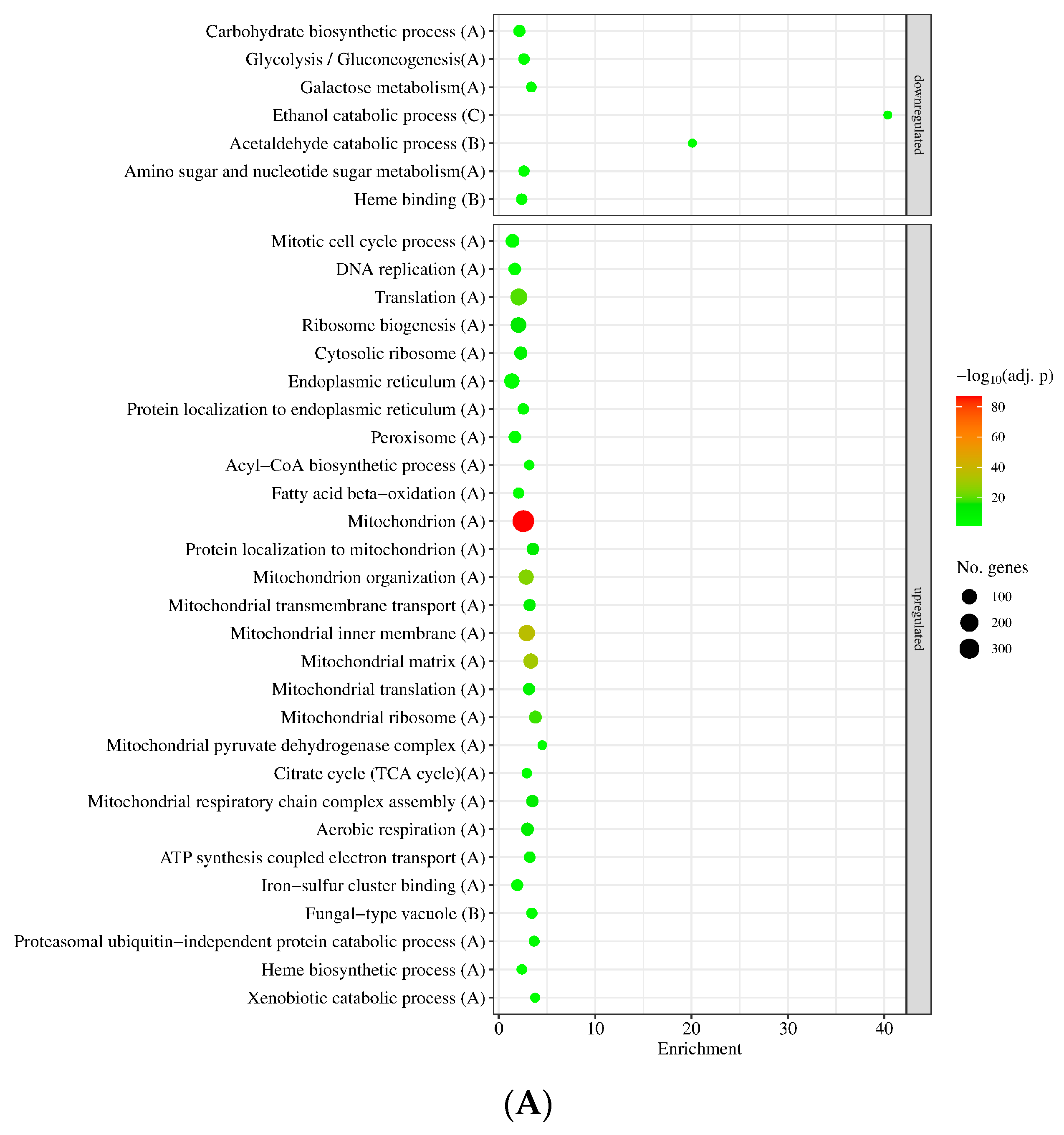Jof 09 01060 g005a Jof 09 01060 g005a