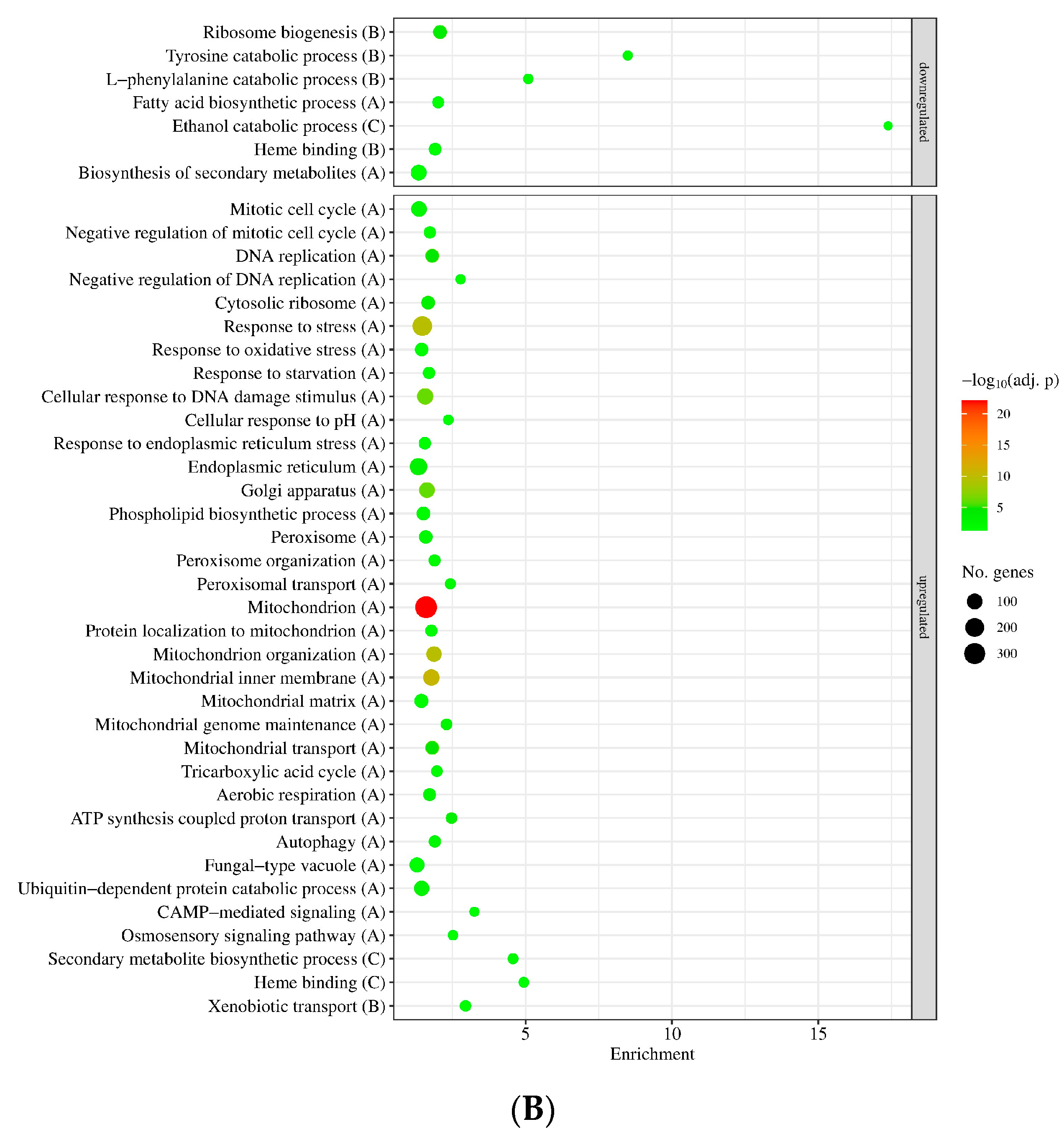 Jof 09 01060 g005b Jof 09 01060 g005b
