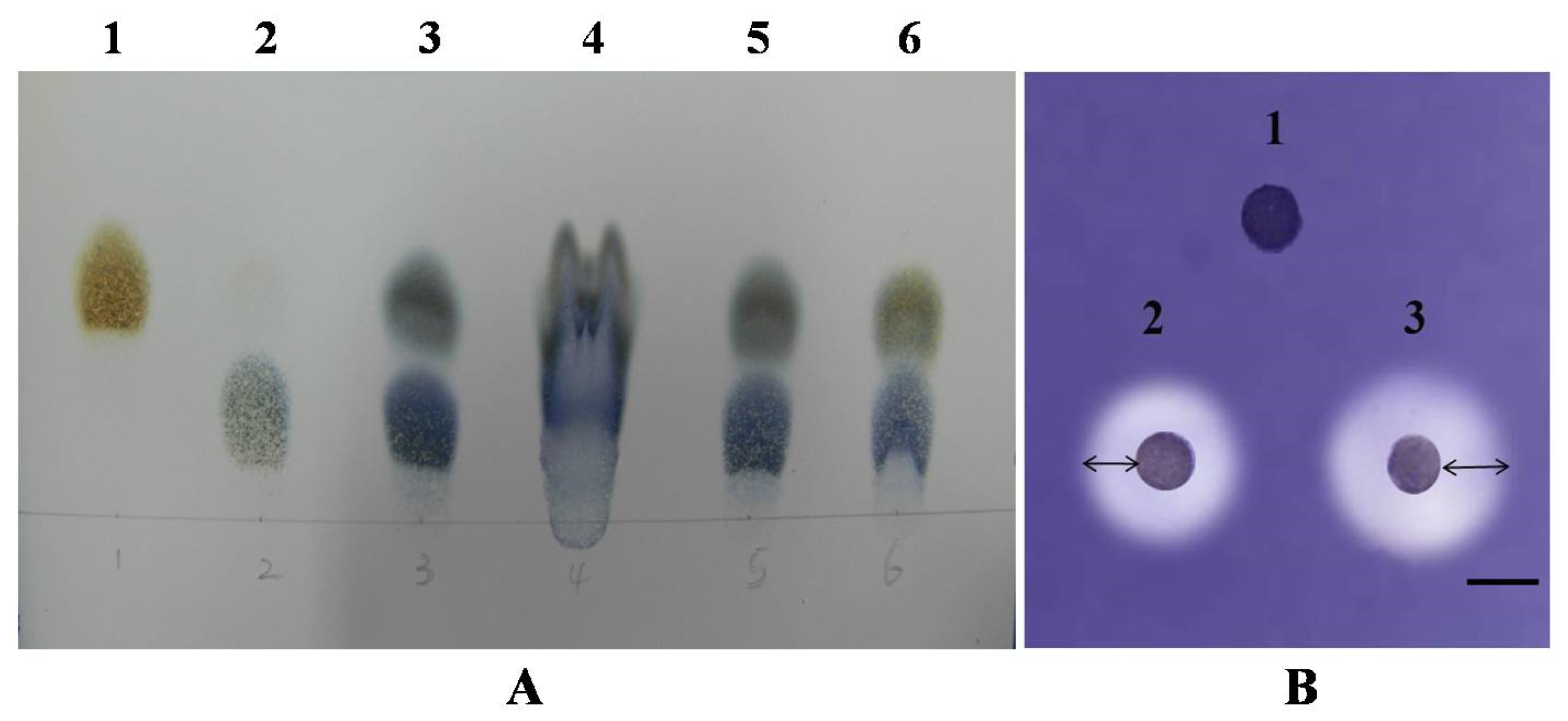 Jof 09 01082 g003 Jof 09 01082 g003