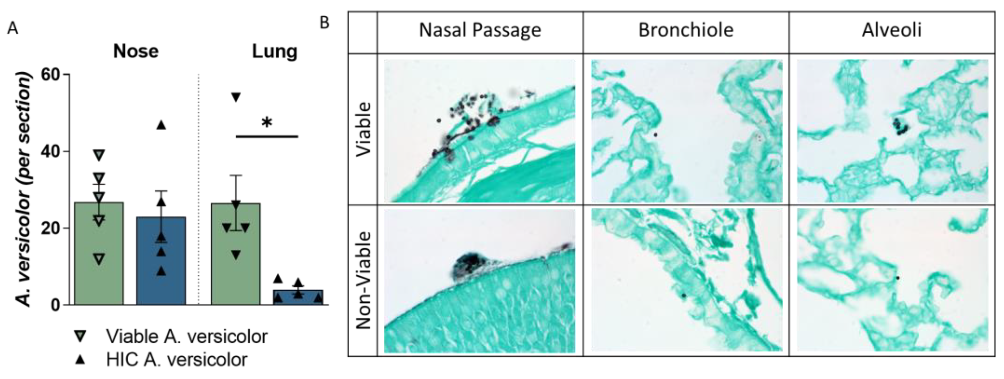 Jof 09 01090 g003 Jof 09 01090 g003