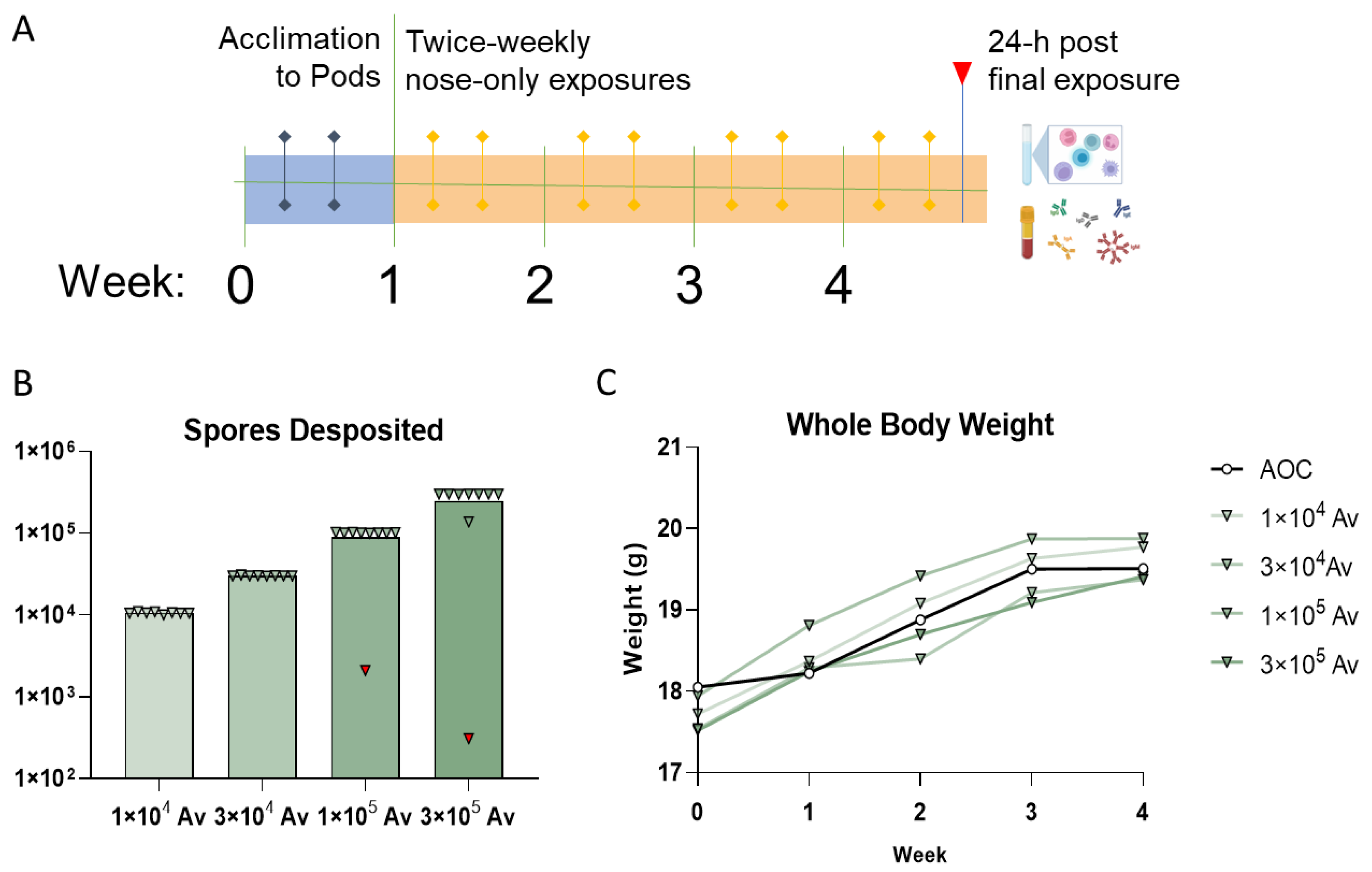 Jof 09 01090 g005 Jof 09 01090 g005